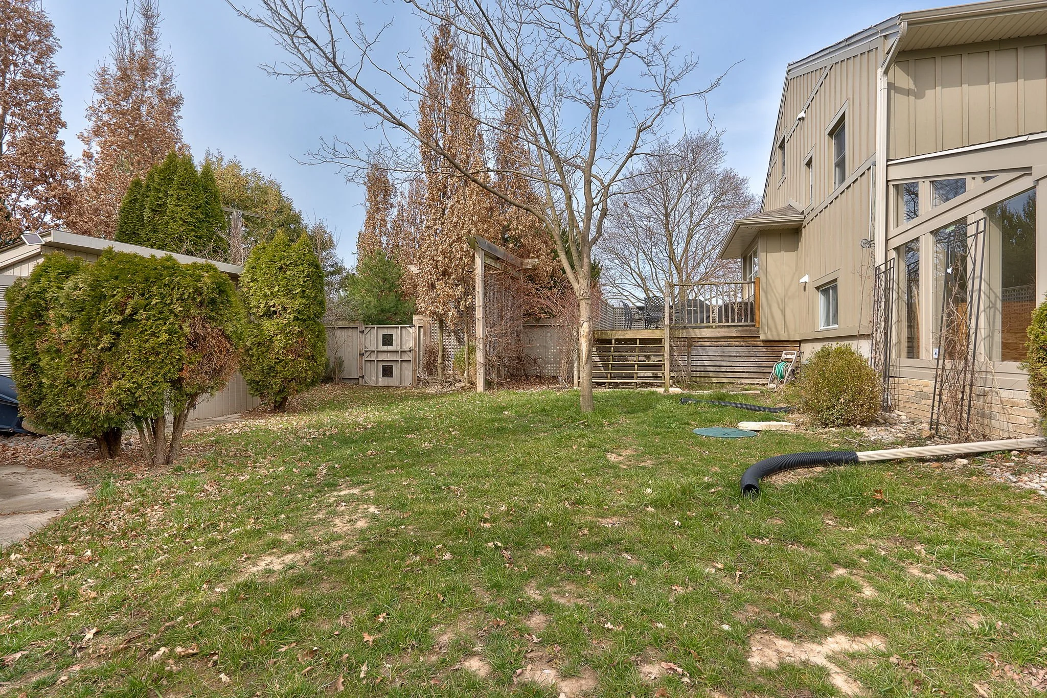 Rear Yard 2.jpg