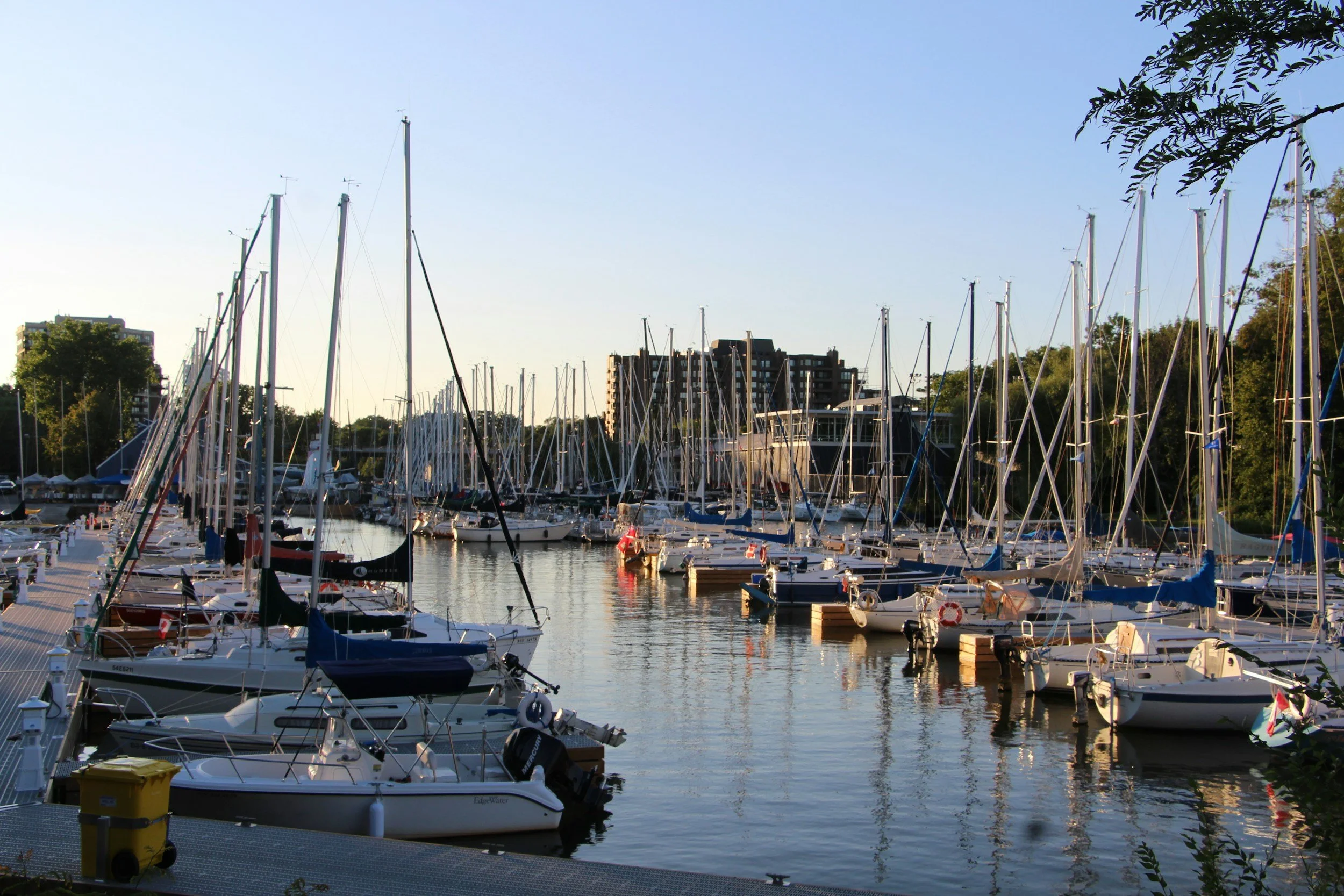 A marina with many sailboats docked along the water, with boats’ masts rising high and trees, buildings, and a clear blue sky in the background.