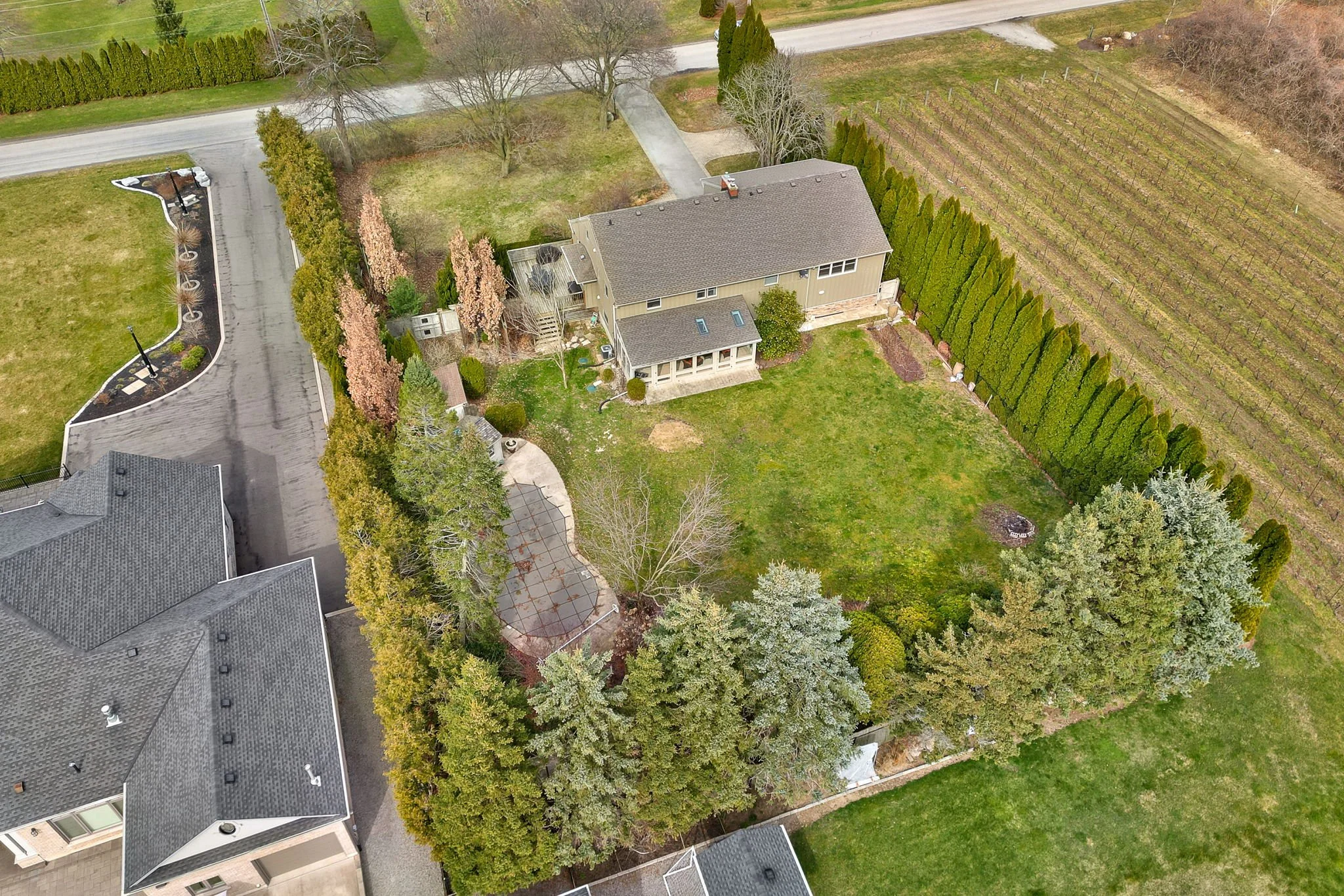 Rear Yard 10.jpg