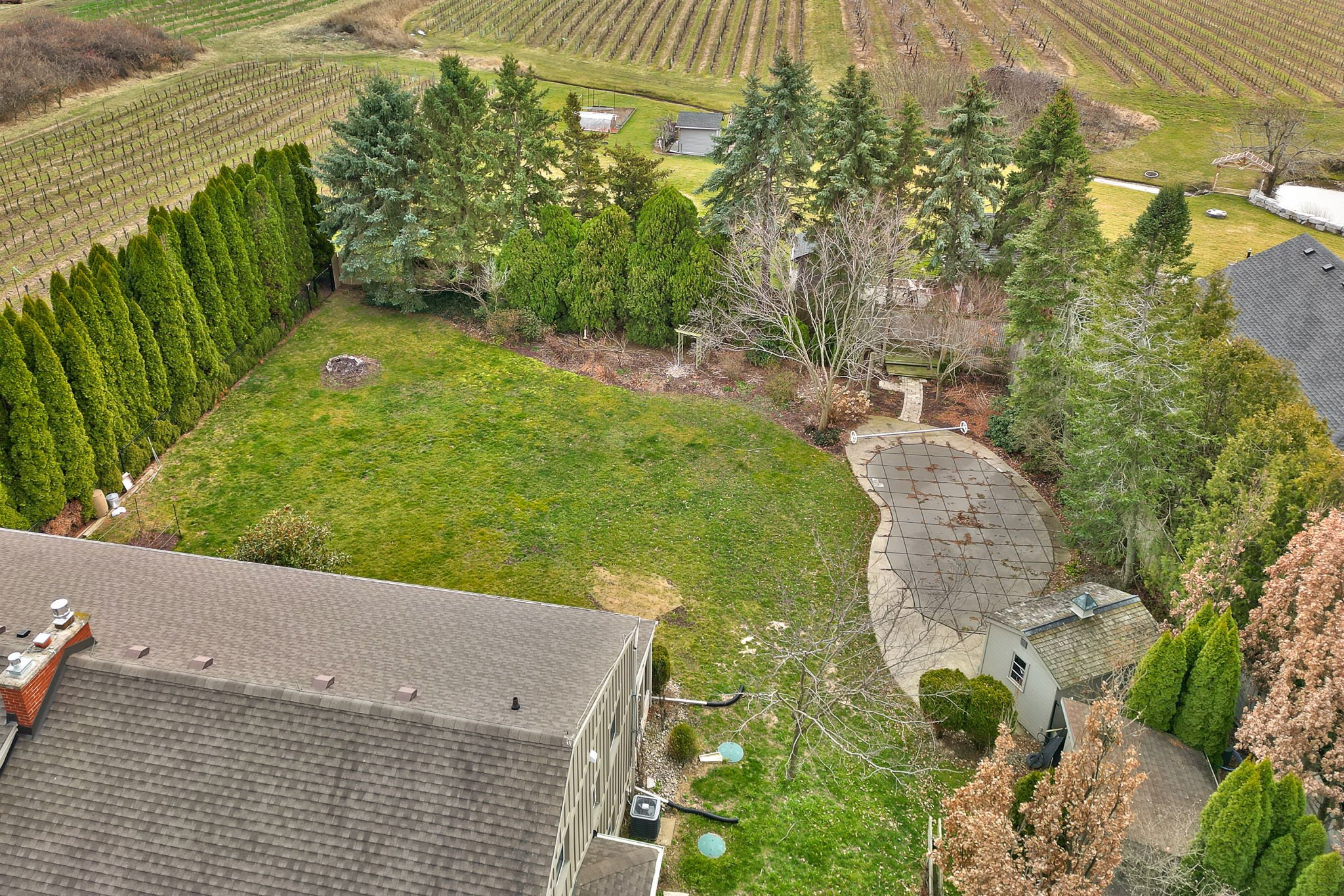 Rear Yard 8.jpg