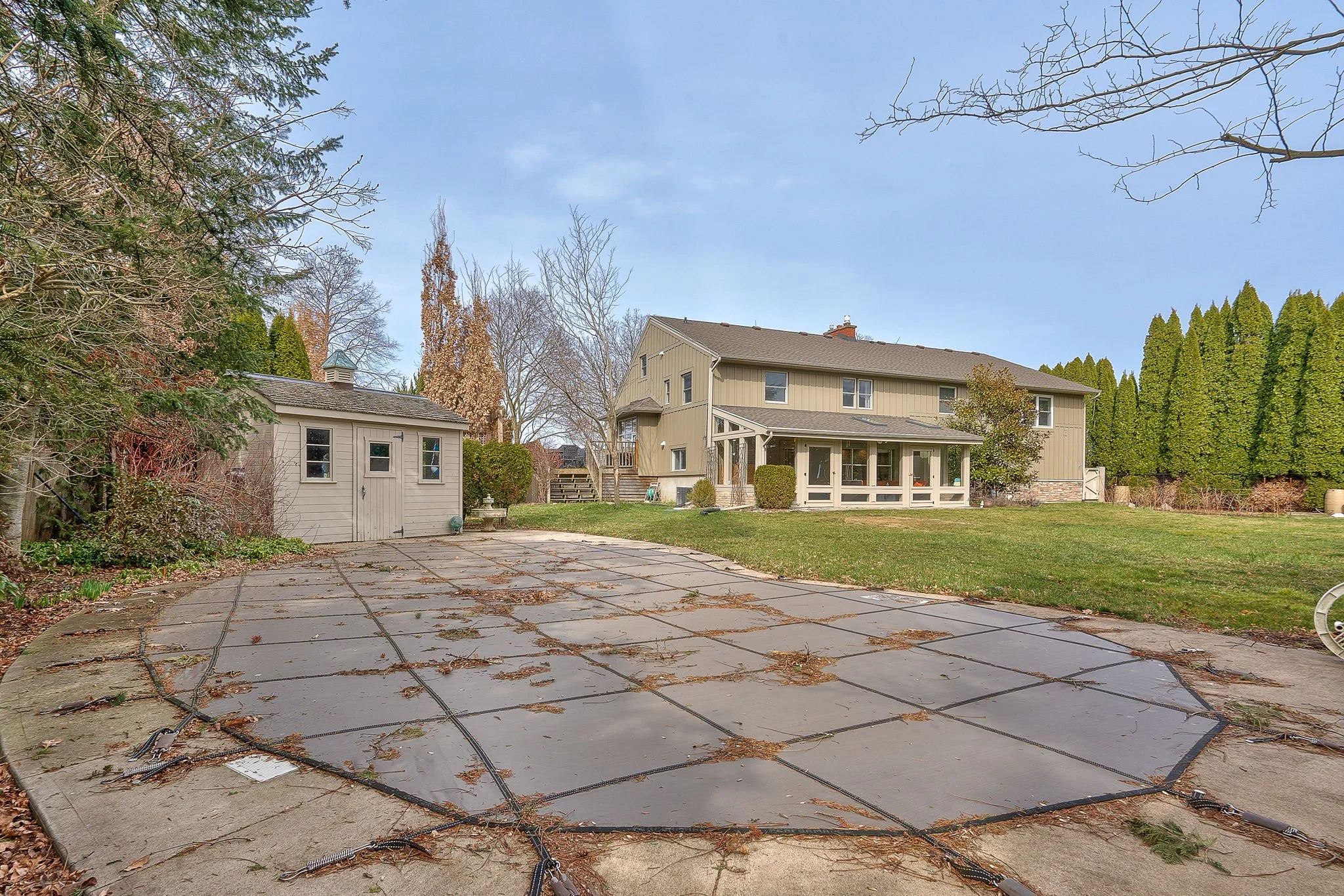 Rear Yard 3.jpg
