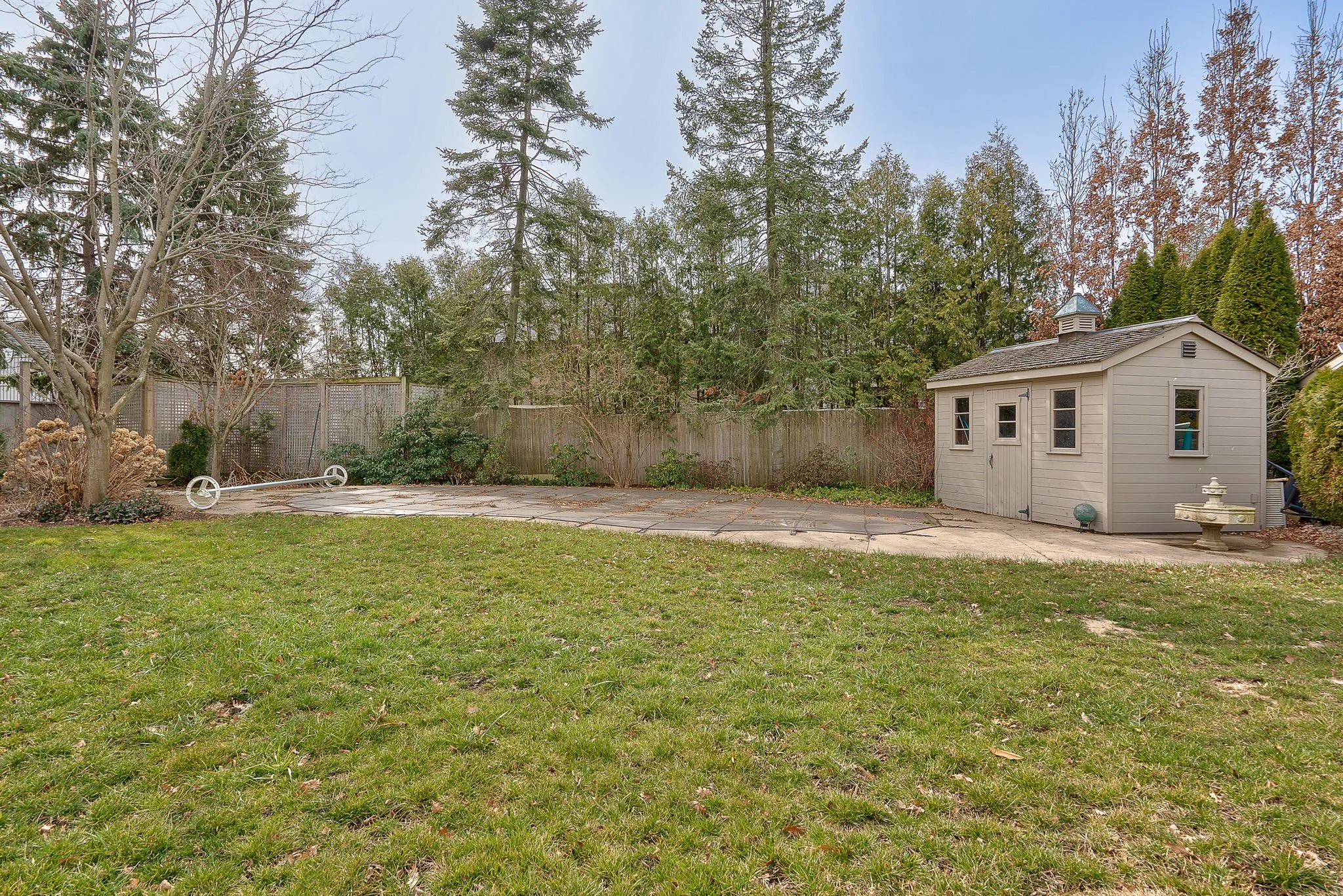 Rear Yard 7.jpg