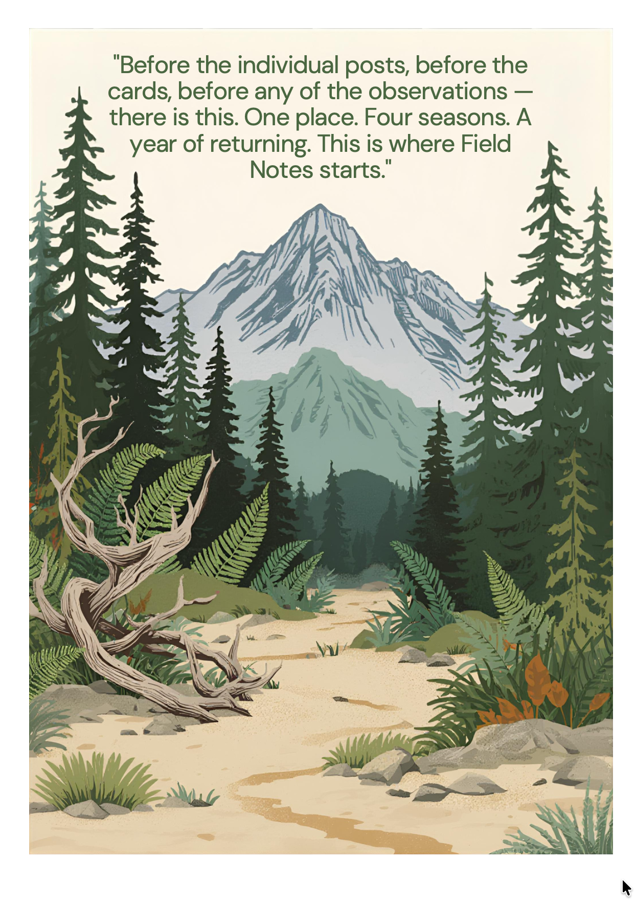 This Is Where Field Notes Starts