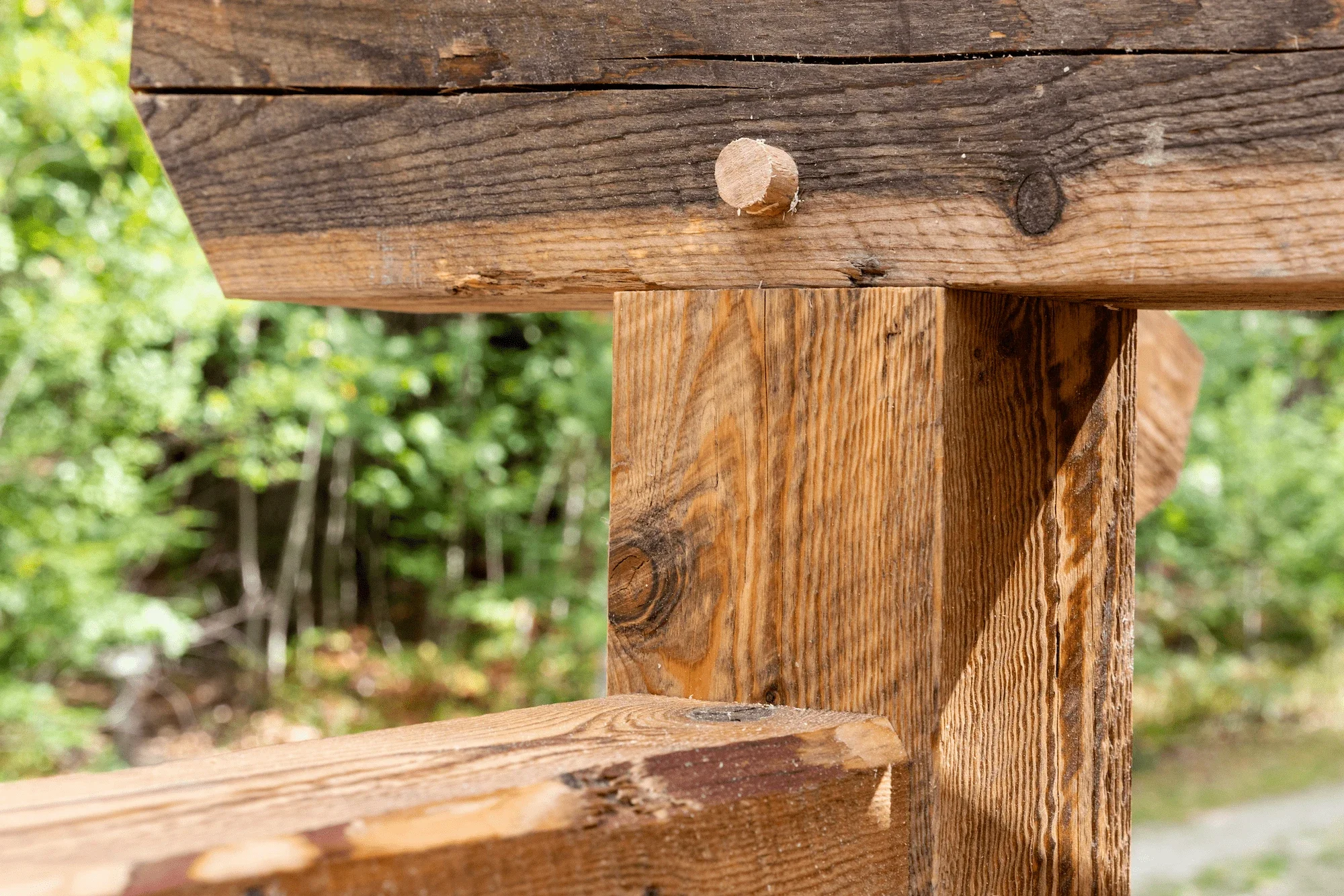 Close-up of wooden beams joined together with dowels, showing grain and texture, outdoors with blurred green foliage in background.