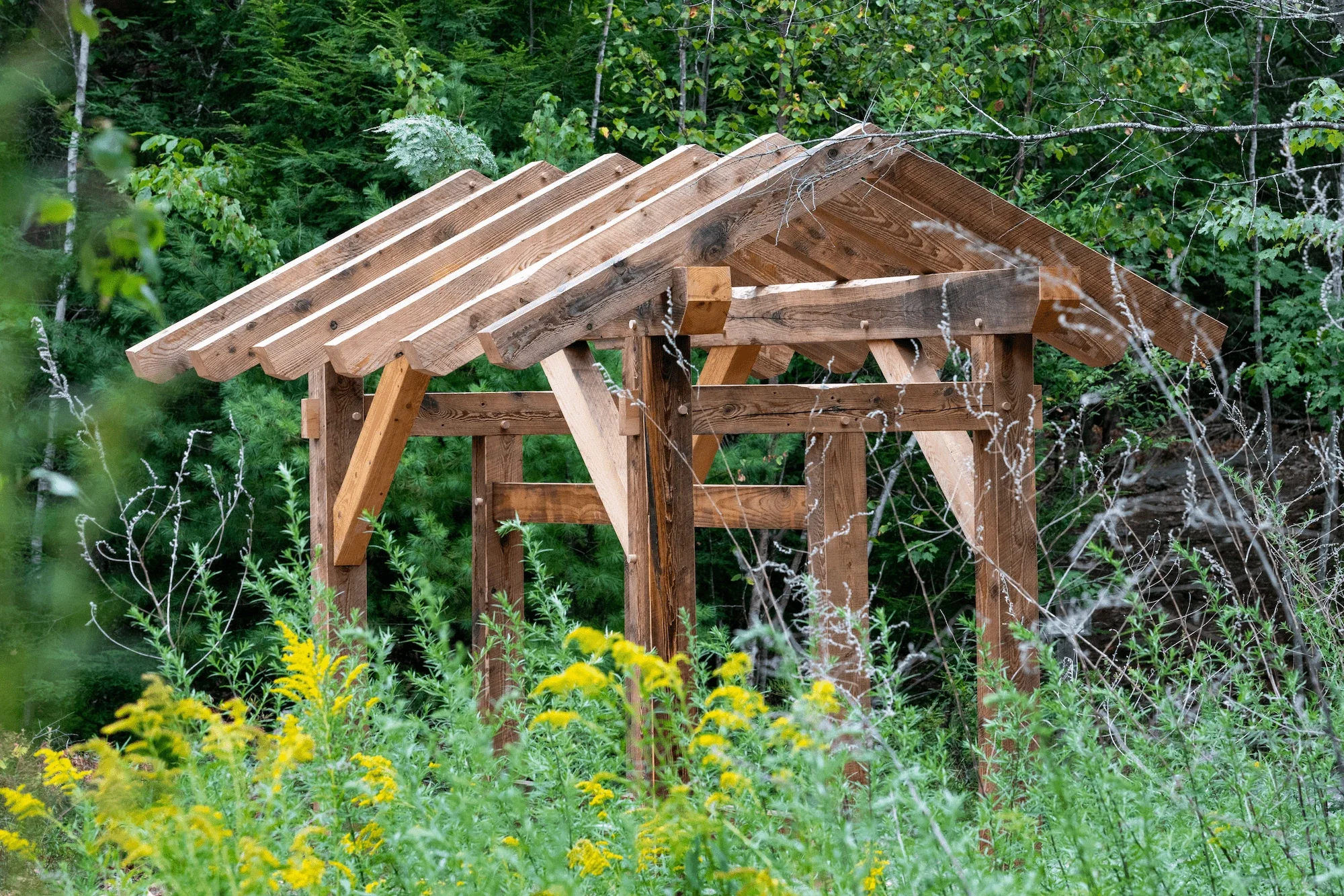 A wooden structure under construction surrounded by lush green plants and trees.