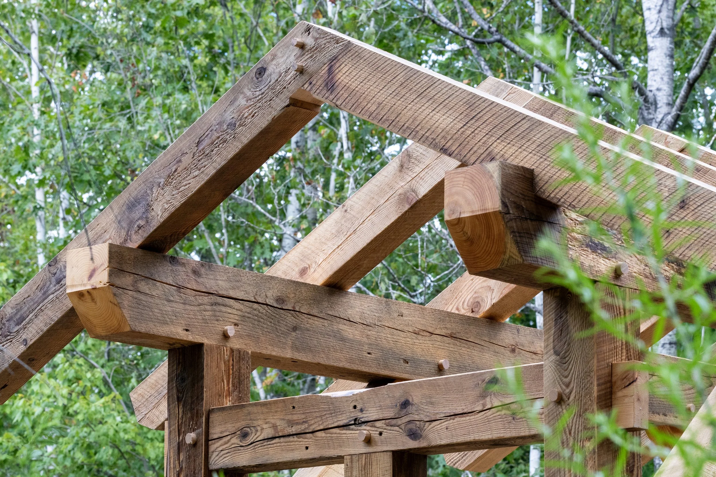 Close-up view of a wooden structure under construction, with beams and posts held together by nails, set outdoors among trees.