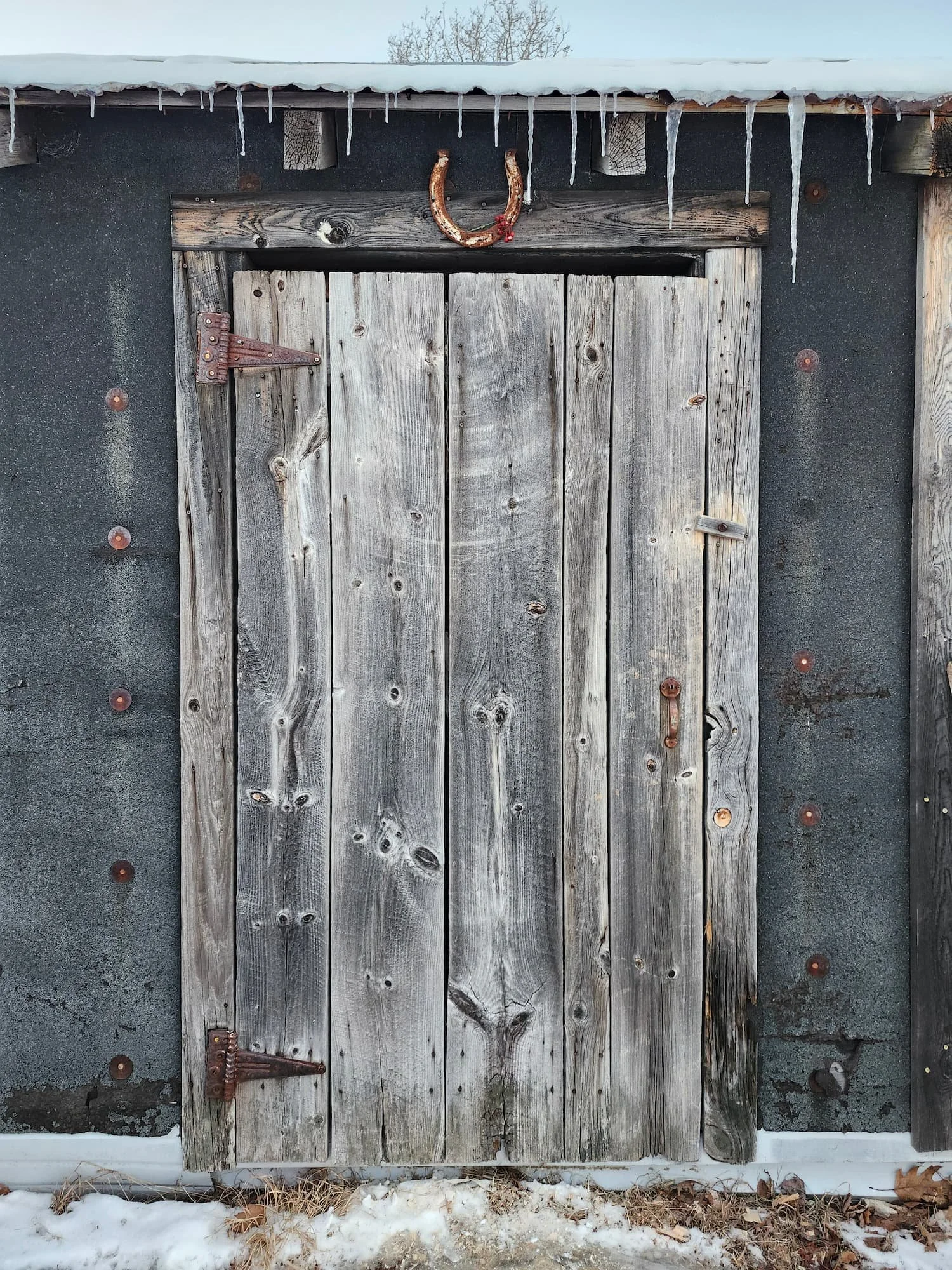 20250130_164129 (1).jpg