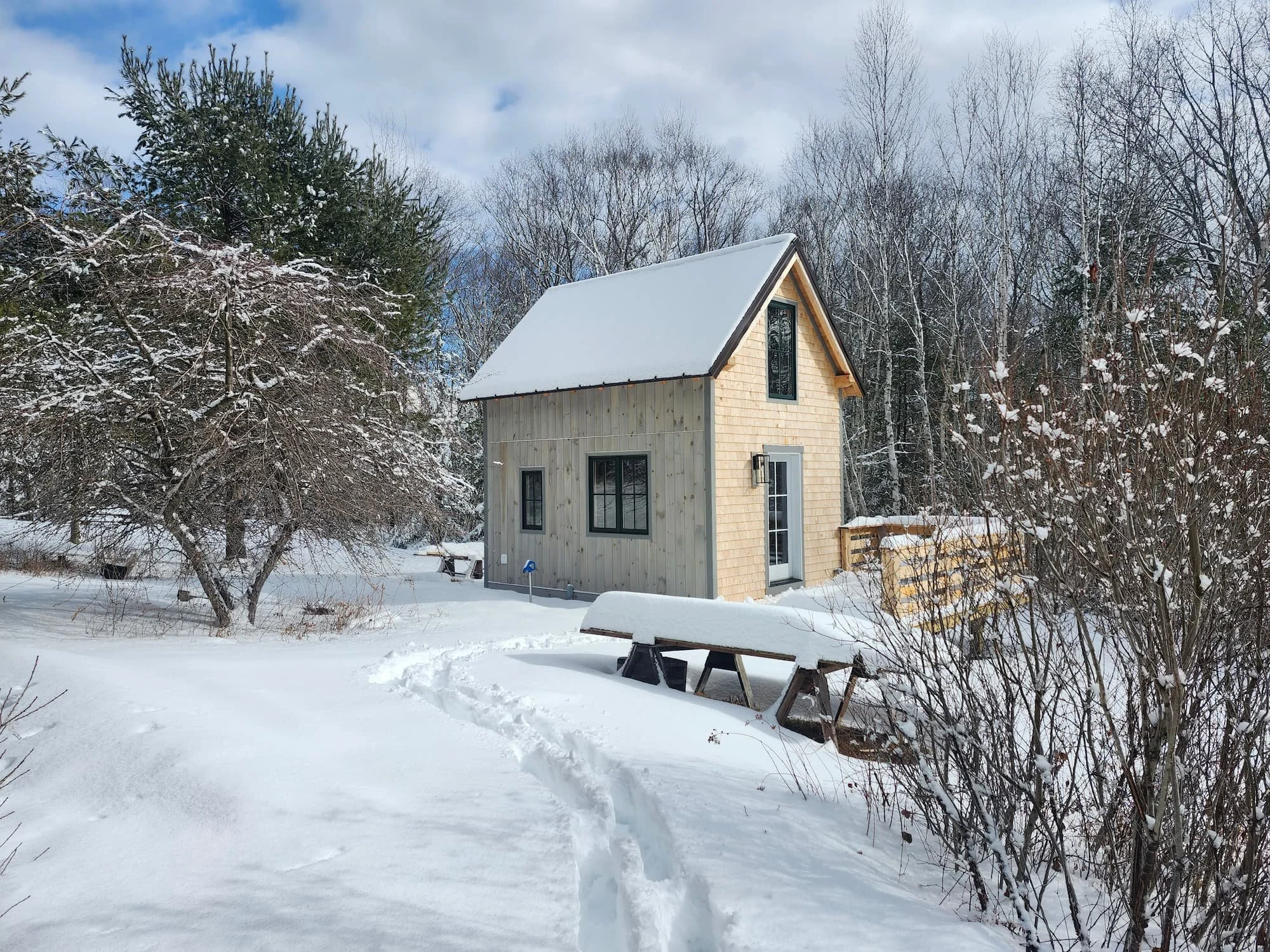 20250207_120107 (1).jpg