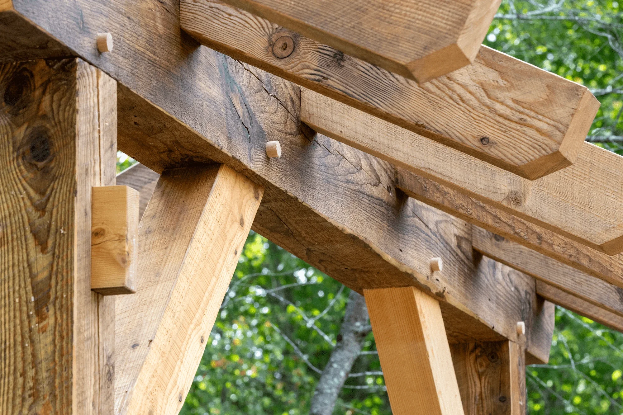 Close-up of wooden beams and support structures in a construction site, with green trees in the background.