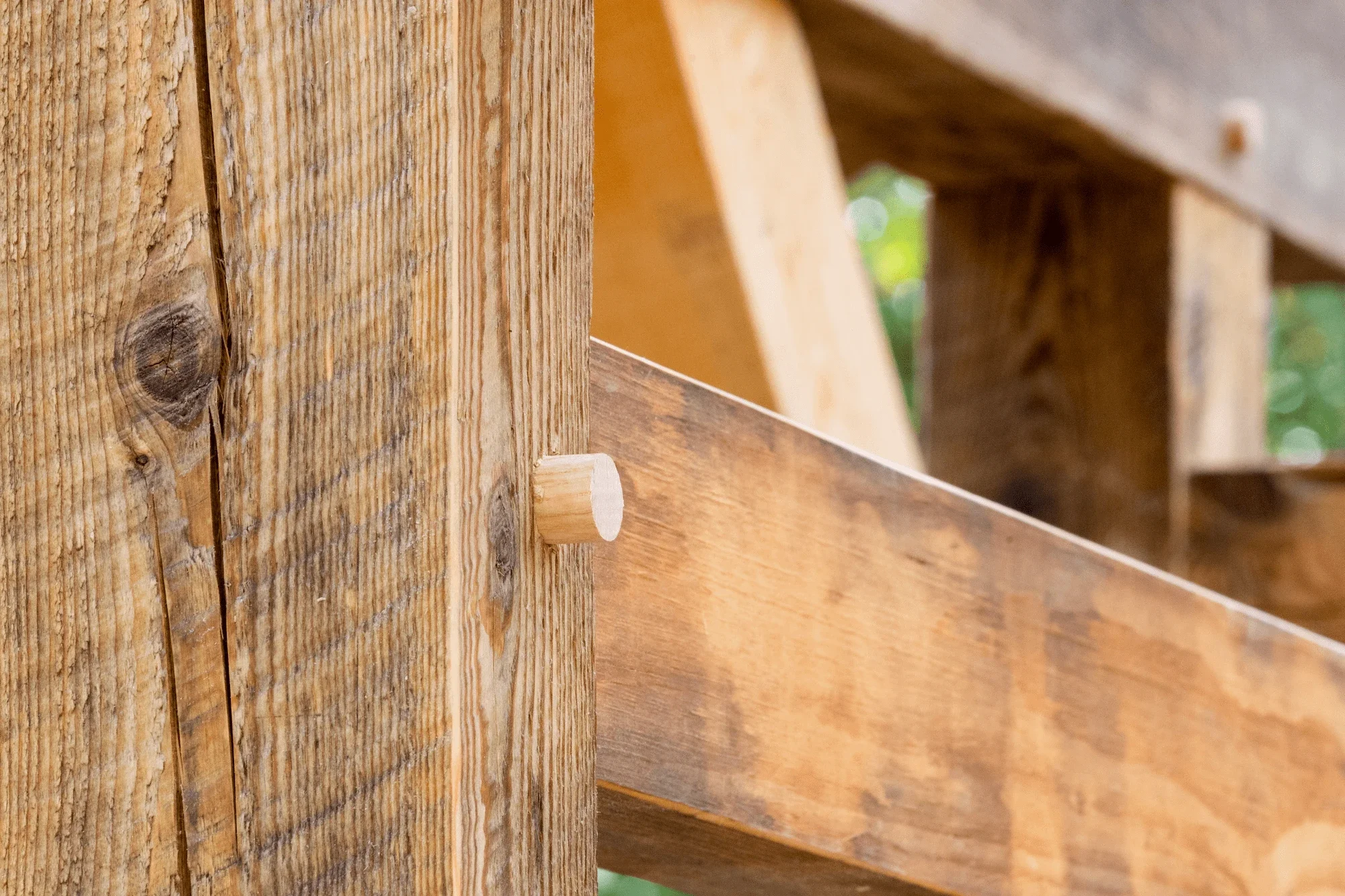Close-up of a wooden frame or structure showing rough wood grain, knots, and a small round wooden dowel.