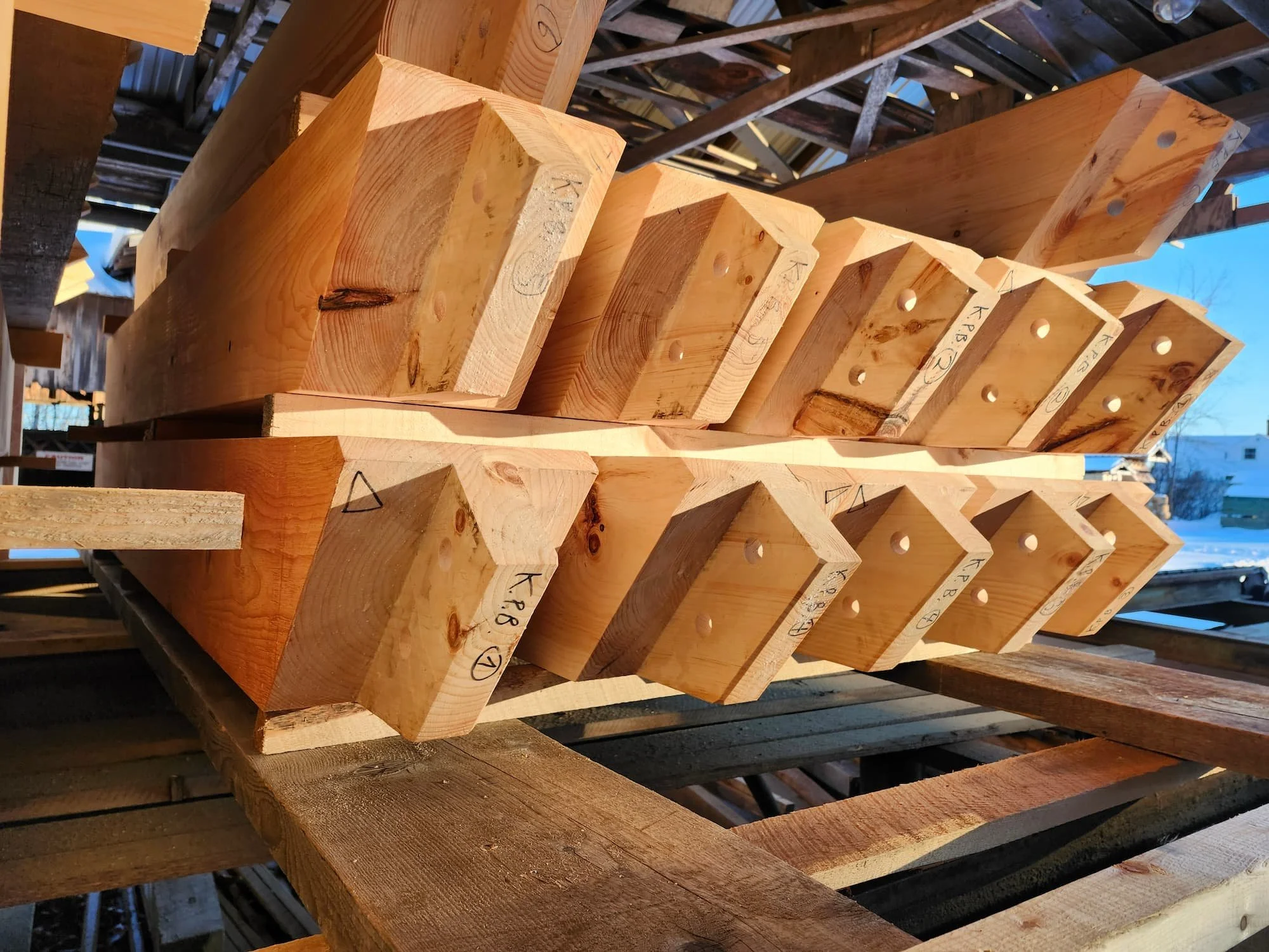 20250218_163448 (1).jpg