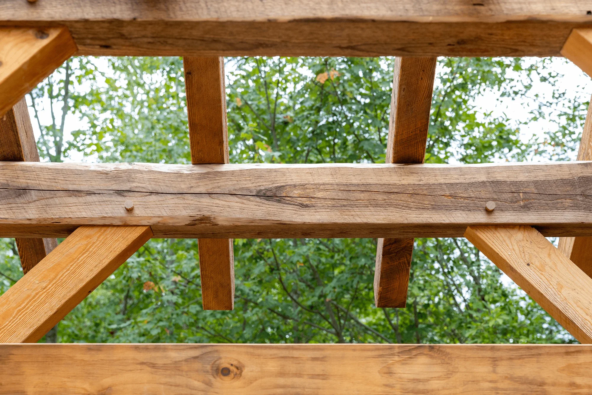 Looking up at a wooden deck frame with green trees visible through the gaps in the wood