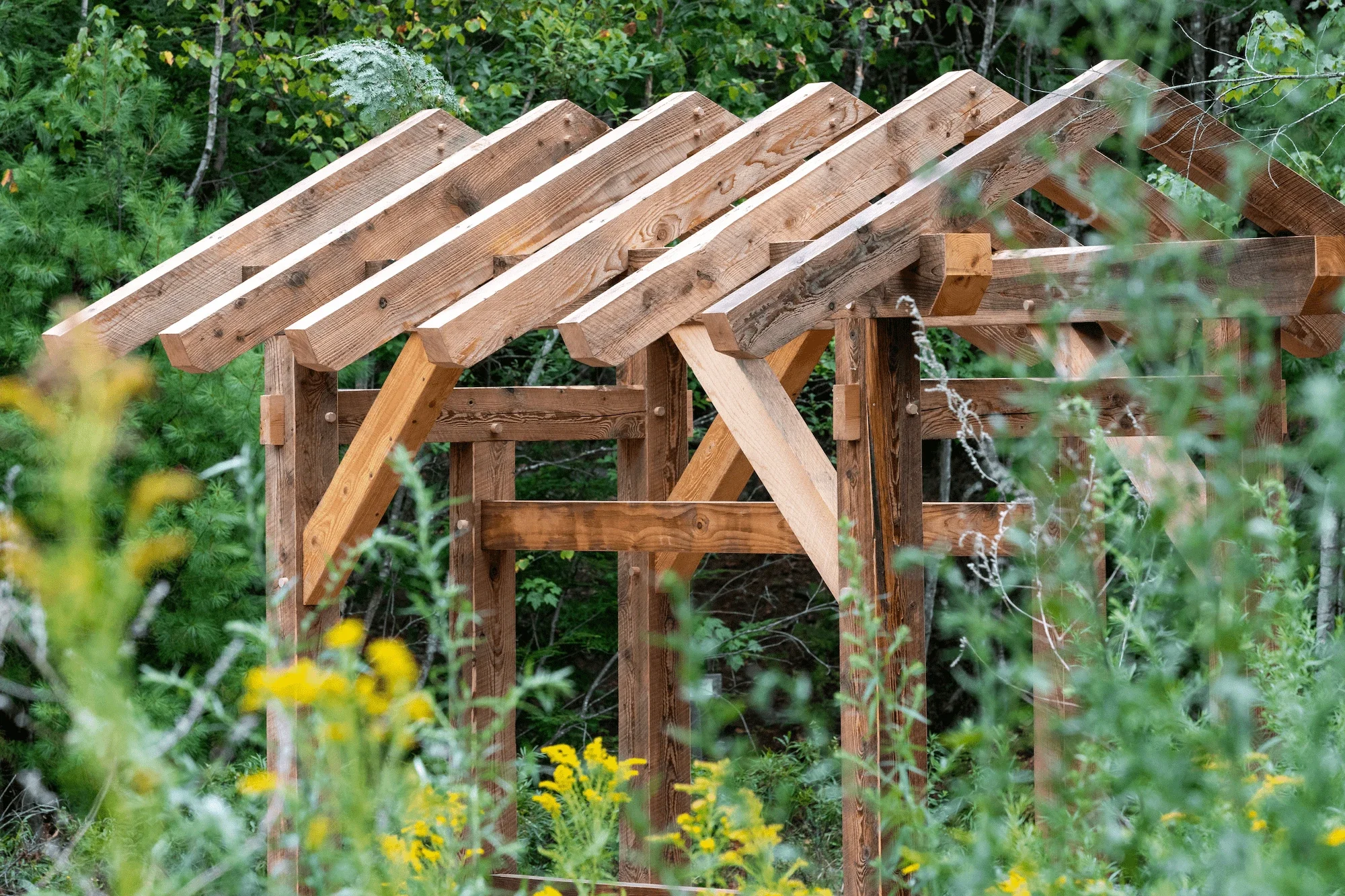 A wooden outdoor pergola framework under construction surrounded by green foliage and plants.