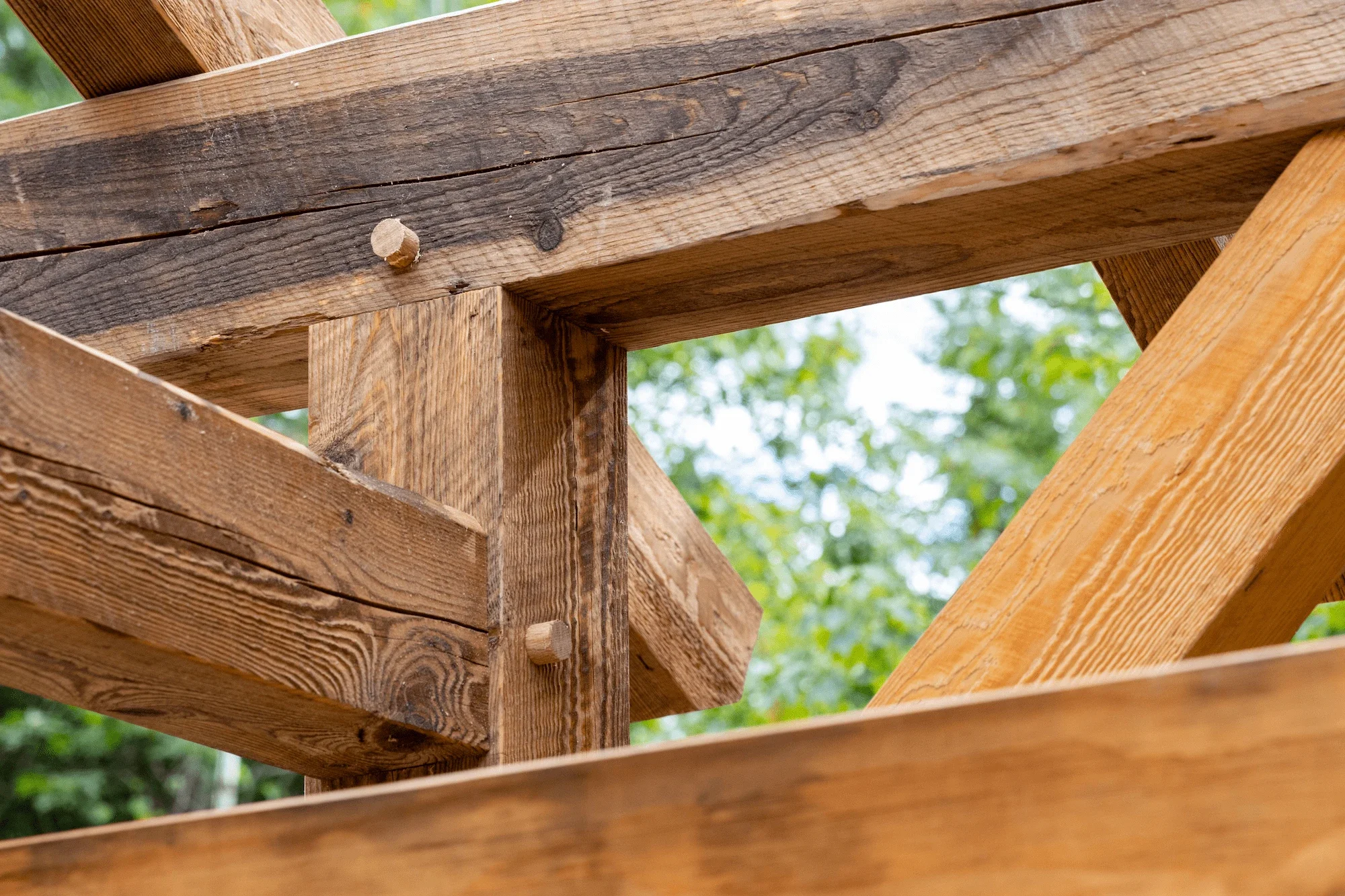Close-up view of wooden construction framework with visible nails and bolts, outdoors with green foliage in the background.