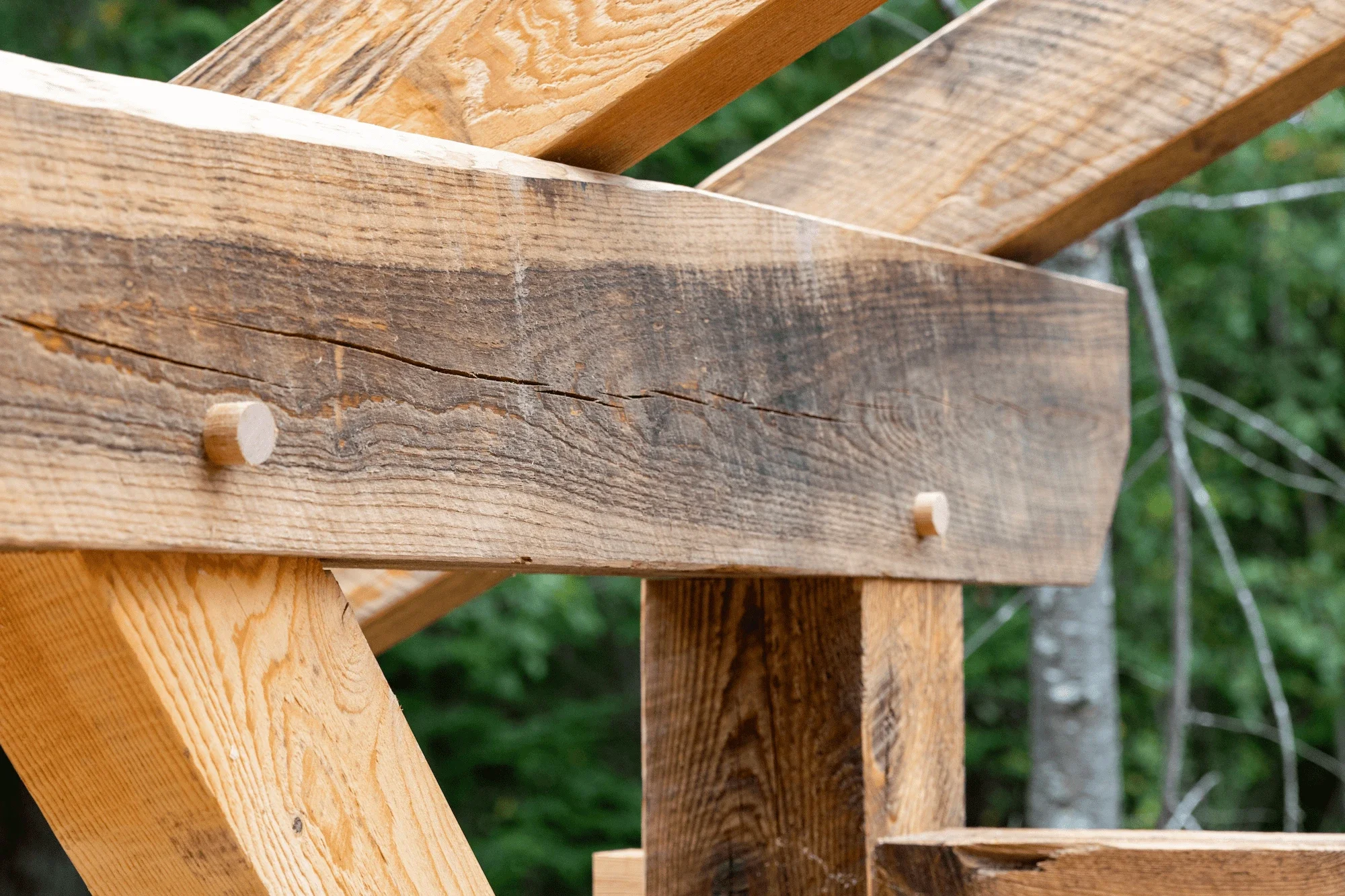 Close-up of wooden beams and posts in a construction site with trees in the background.