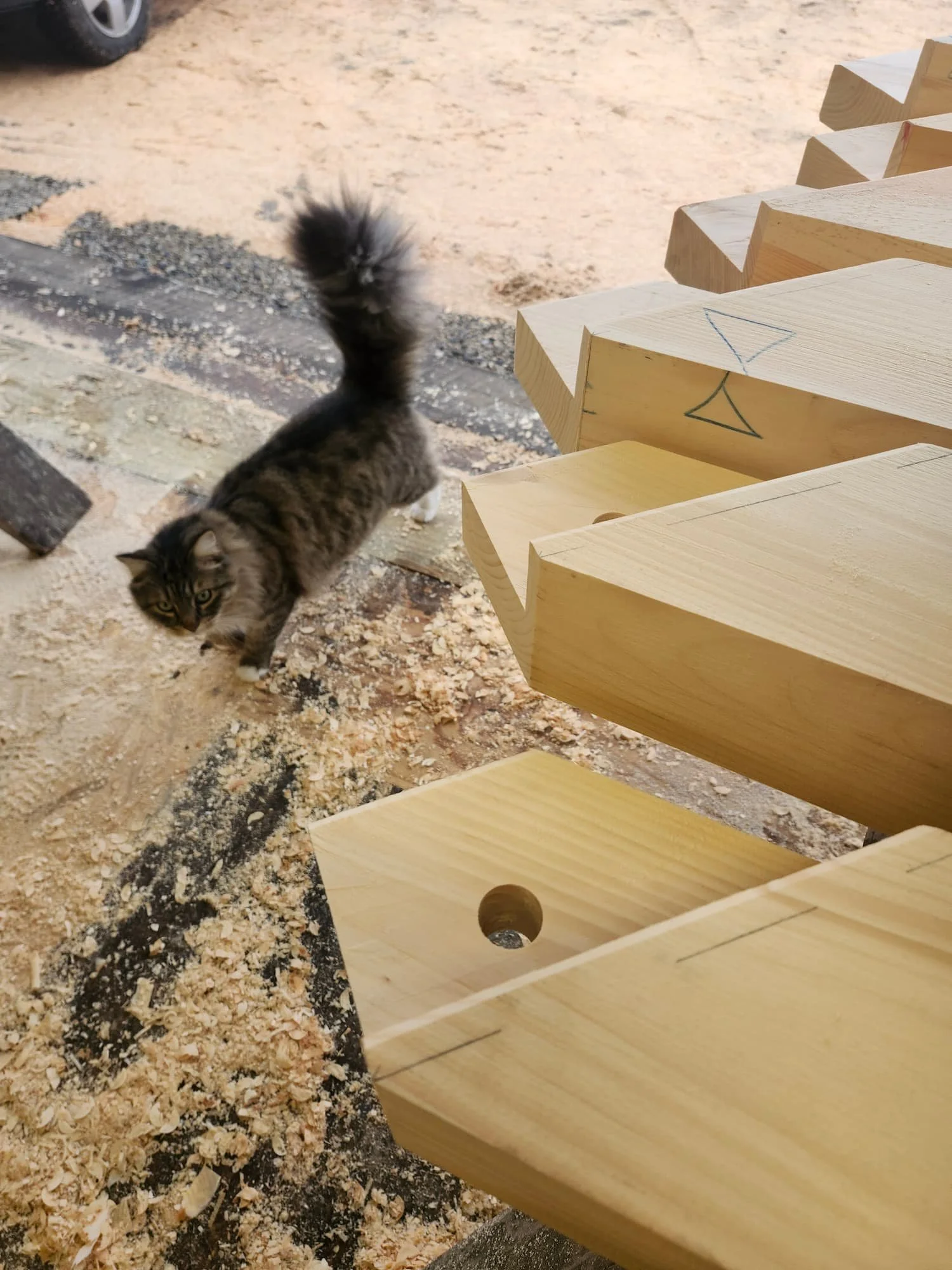 20250306_161657 (1).jpg