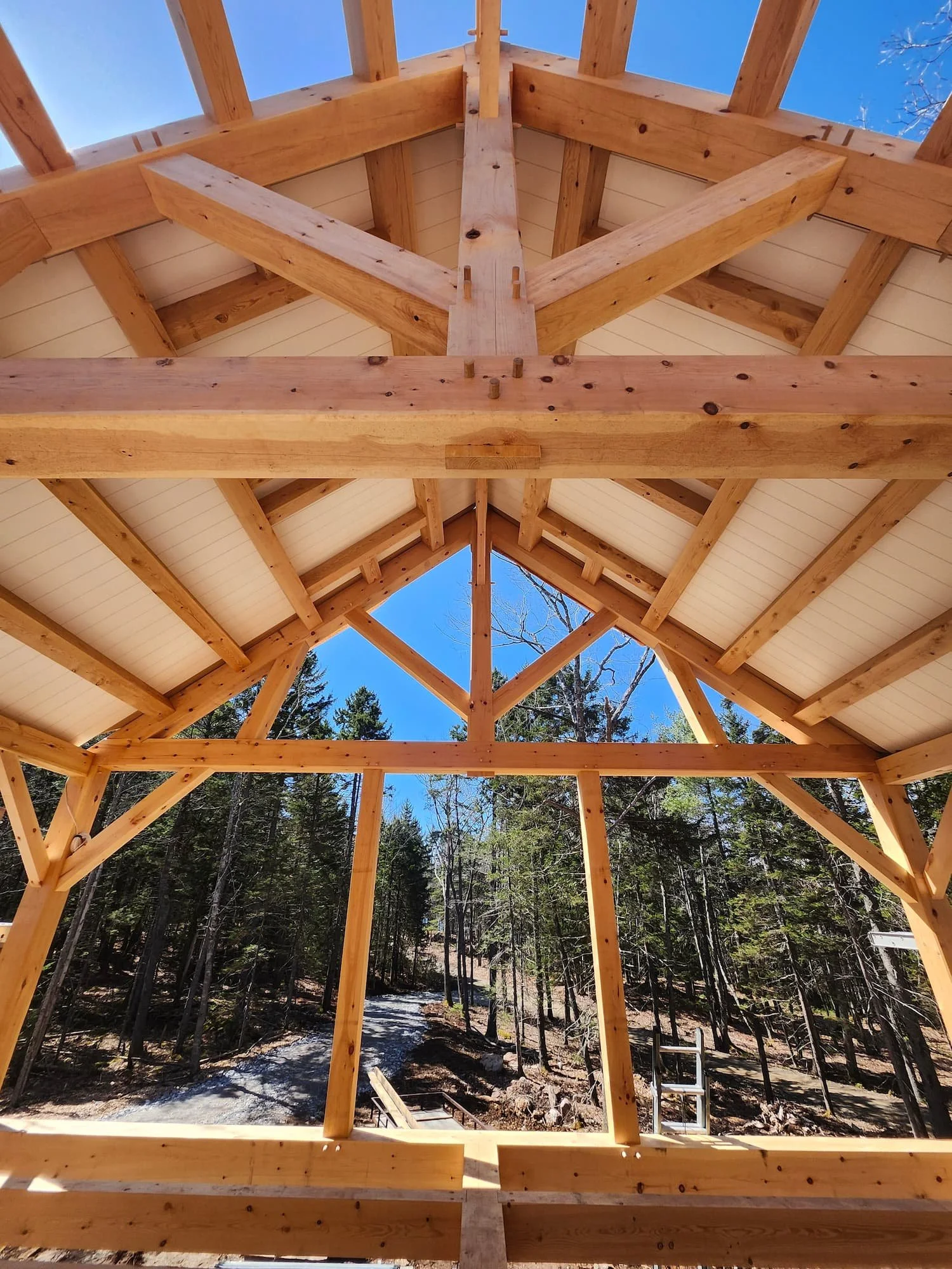 20250418_114318 (1).jpg