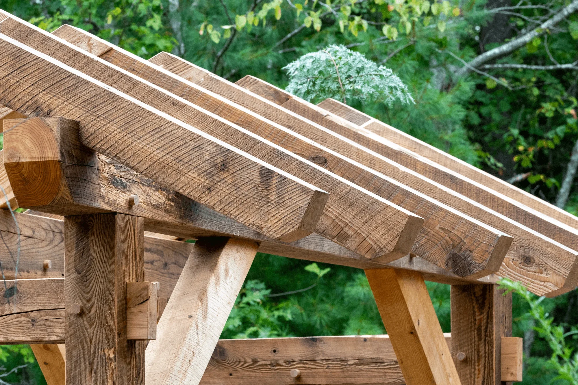 Close-up of a wooden roof structure under construction, with green trees in the background.