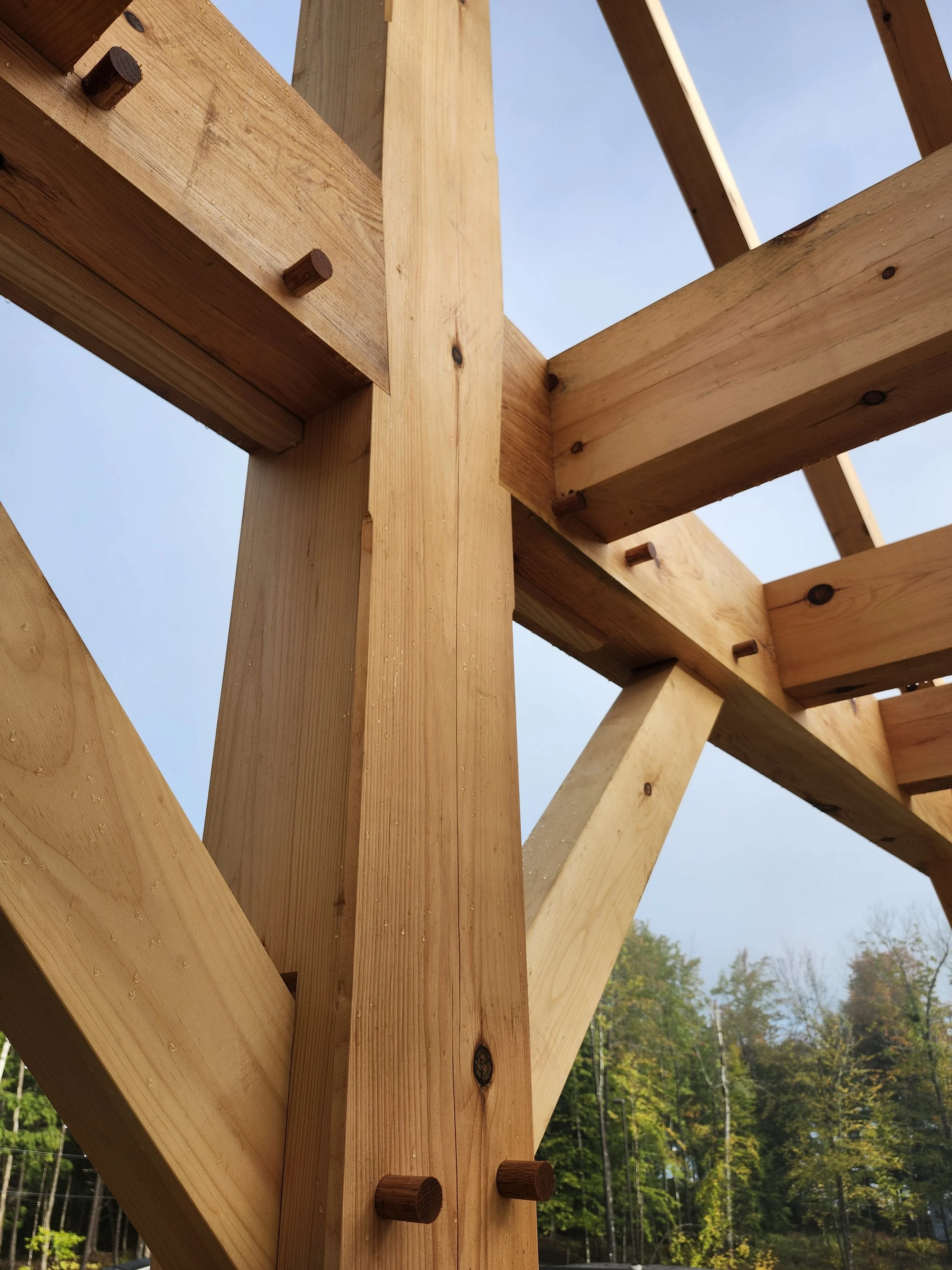 Close-up view of a wooden framework structure, showing vertical and horizontal beams connected with wooden pegs, with trees and a blue sky in the background.