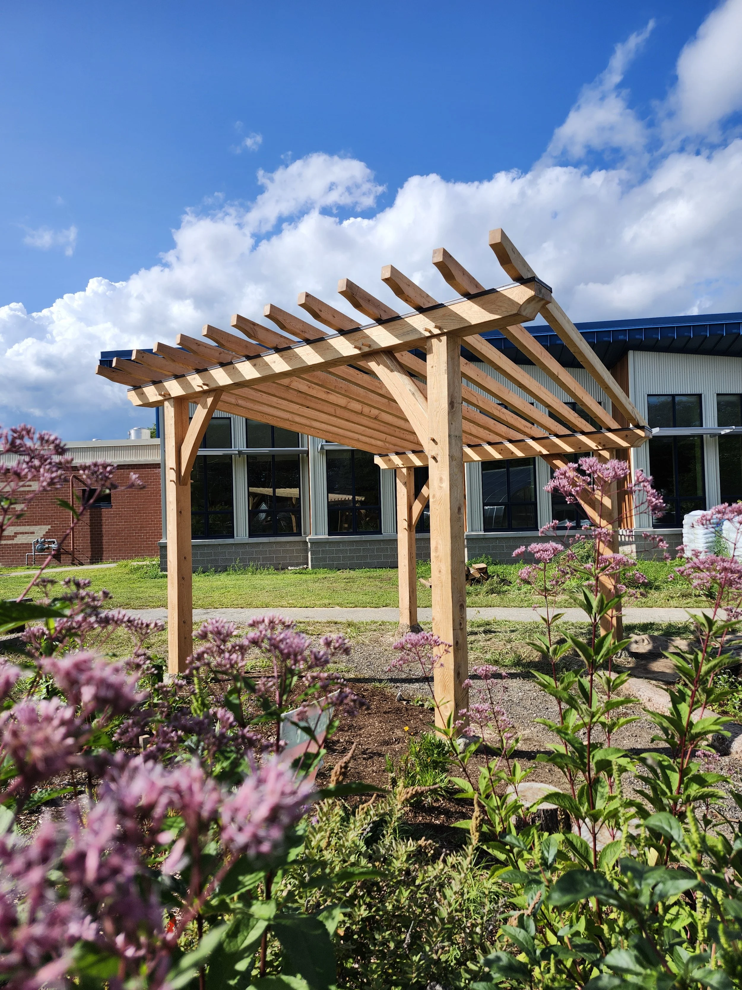 Wooden pergola in a garden with pink flowers, green grass, building with large windows, blue sky with clouds.