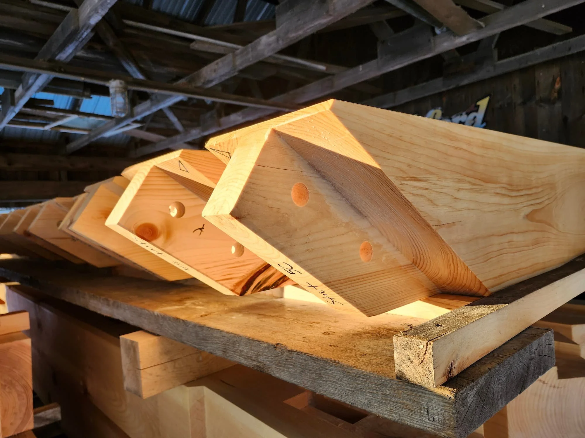 20250218_163544 (1).jpg