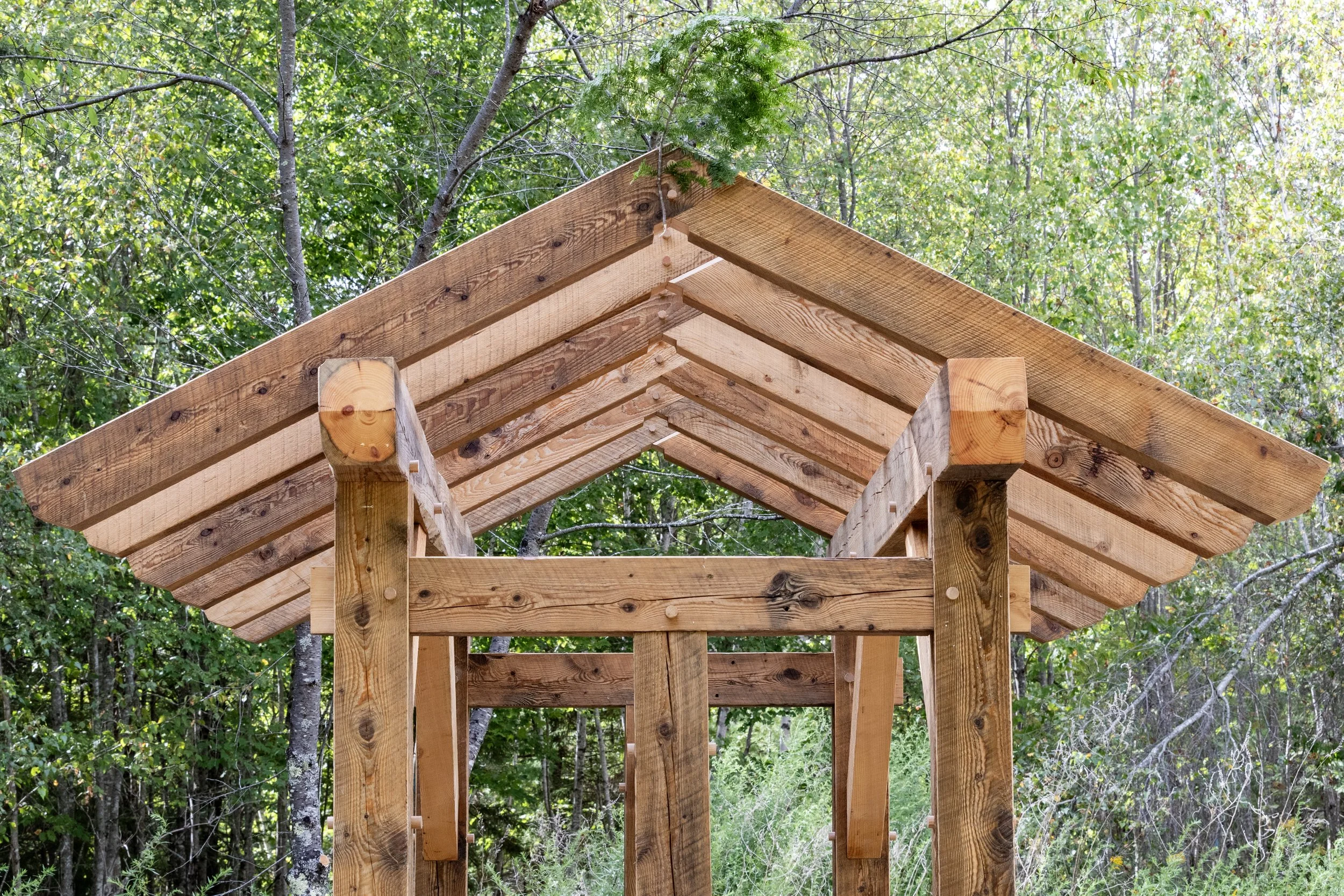 Wooden structure under construction, with a new roof frame made of wooden beams, surrounded by a forest with green trees.
