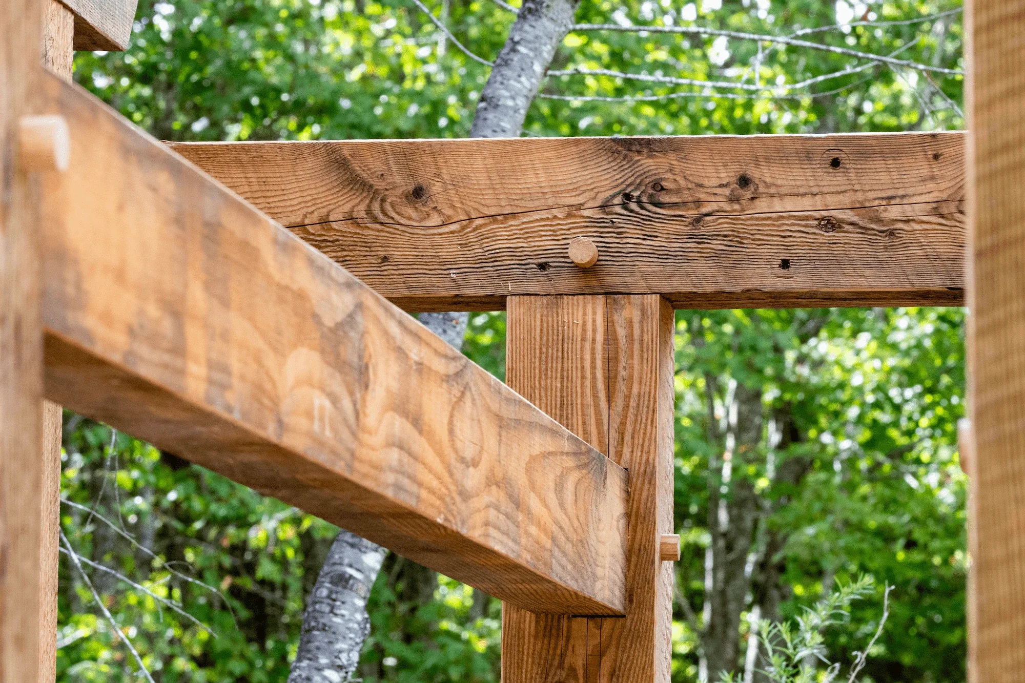 Close-up of a wooden railing under construction, with green foliage in the background.