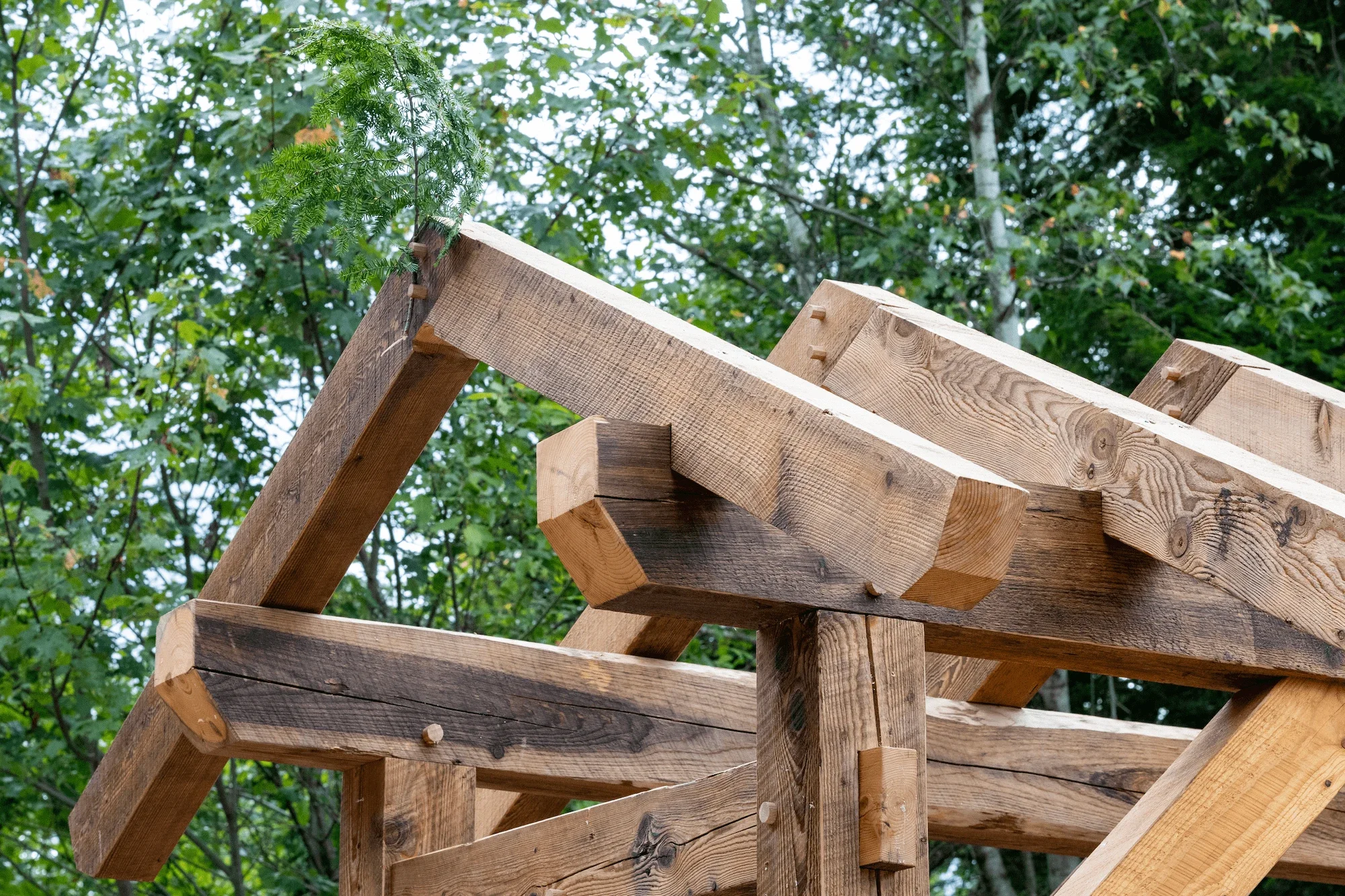 Close-up of a wooden structure under construction with supporting beams against a backdrop of green trees and sky.
