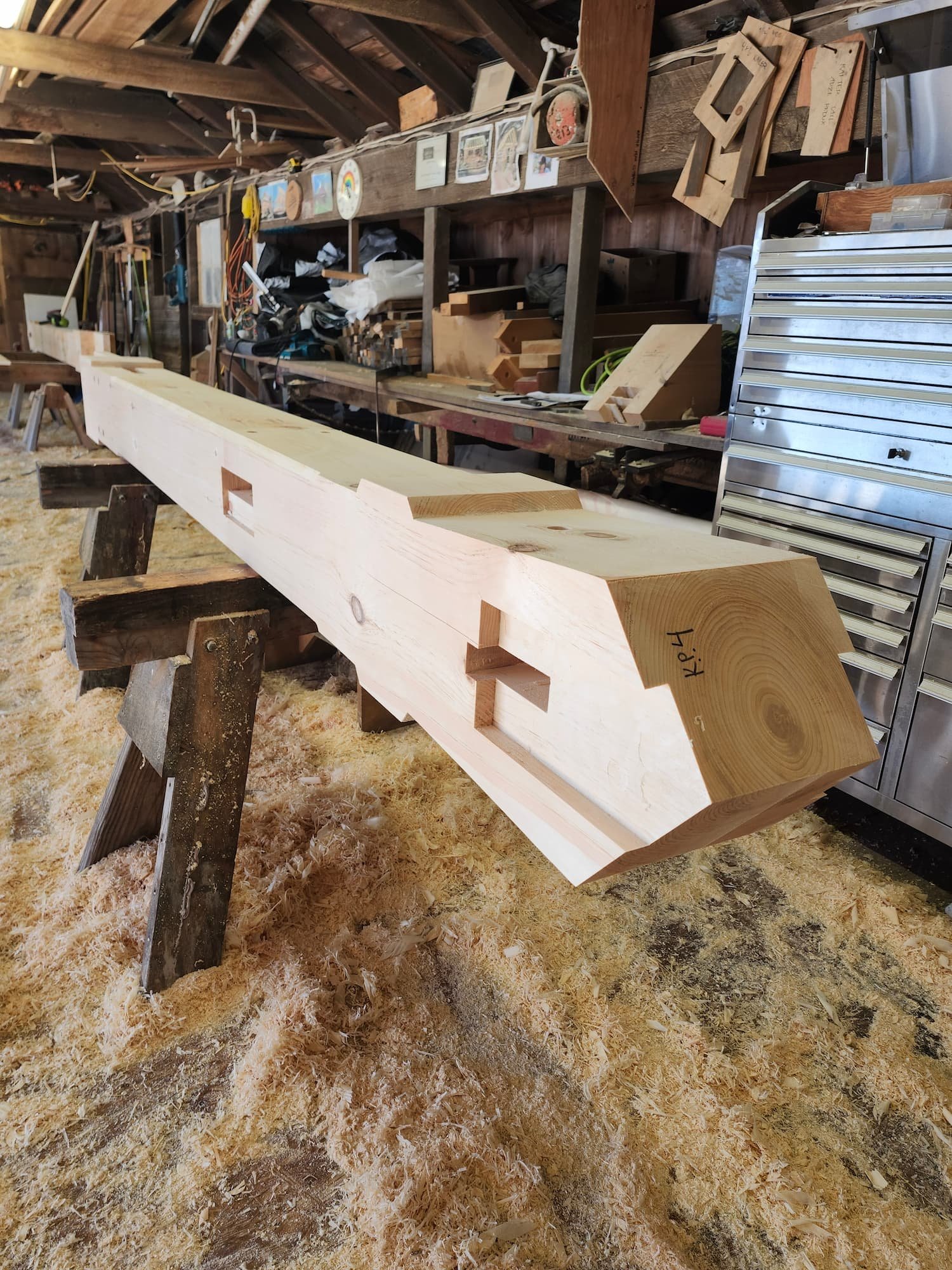 20250130_121140 (1).jpg