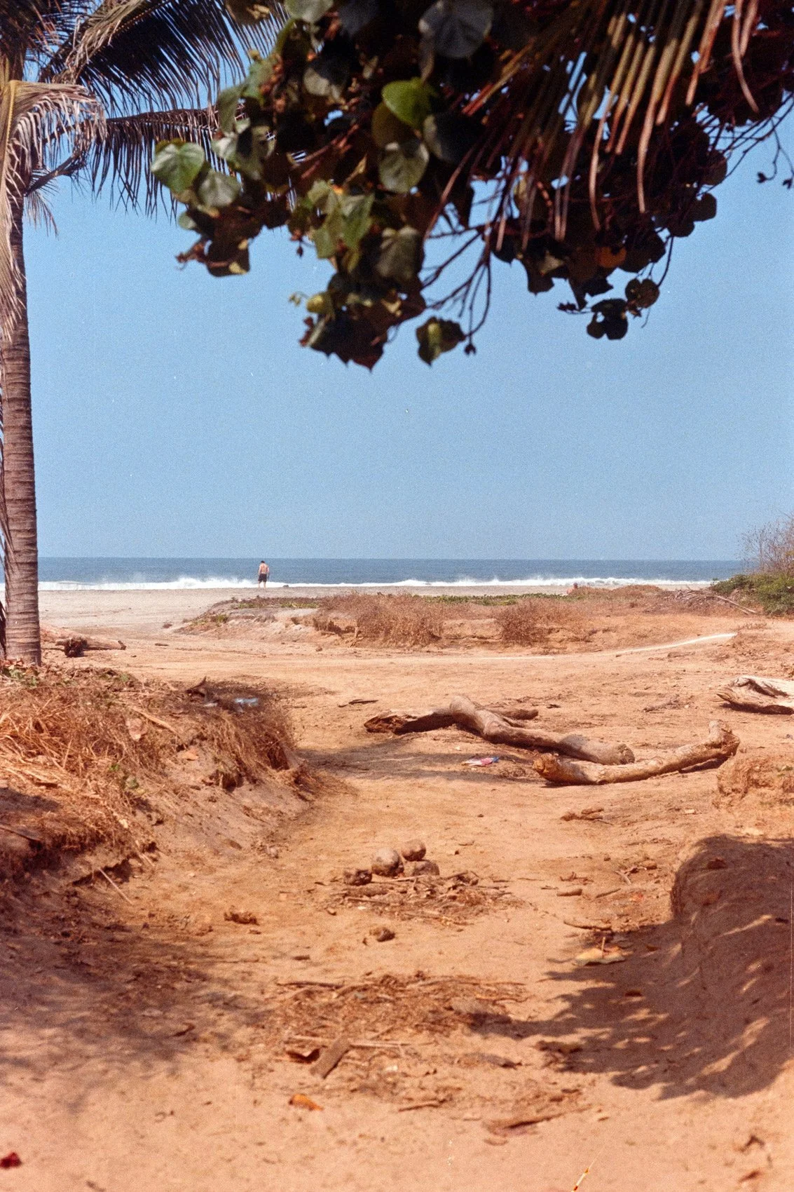 PuertoEscondido8.jpg