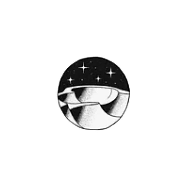 A black and white illustration of Earth with stars in the sky above it.