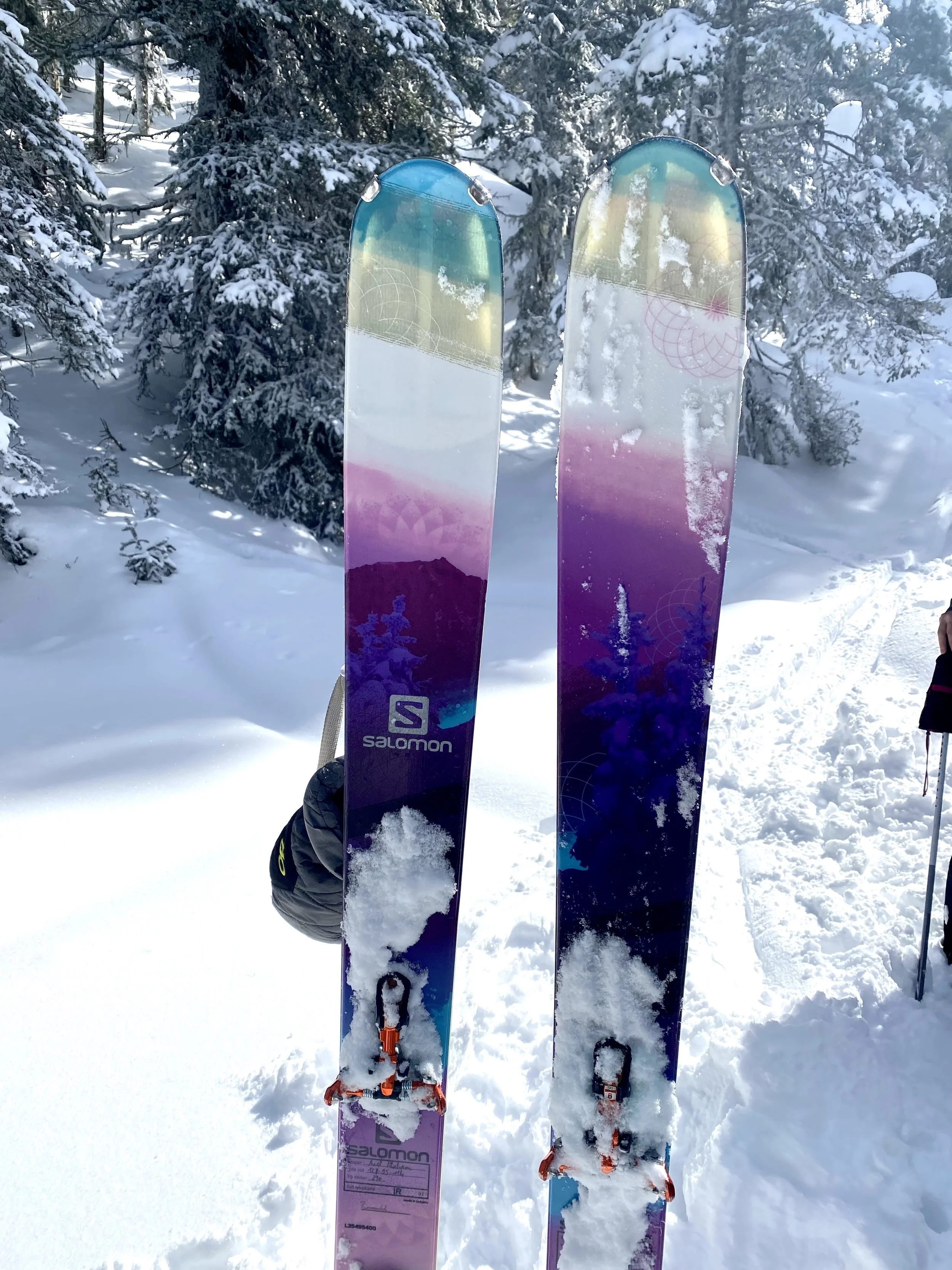 Two colorful skis standing upright in the snow with snow-covered trees in the background.