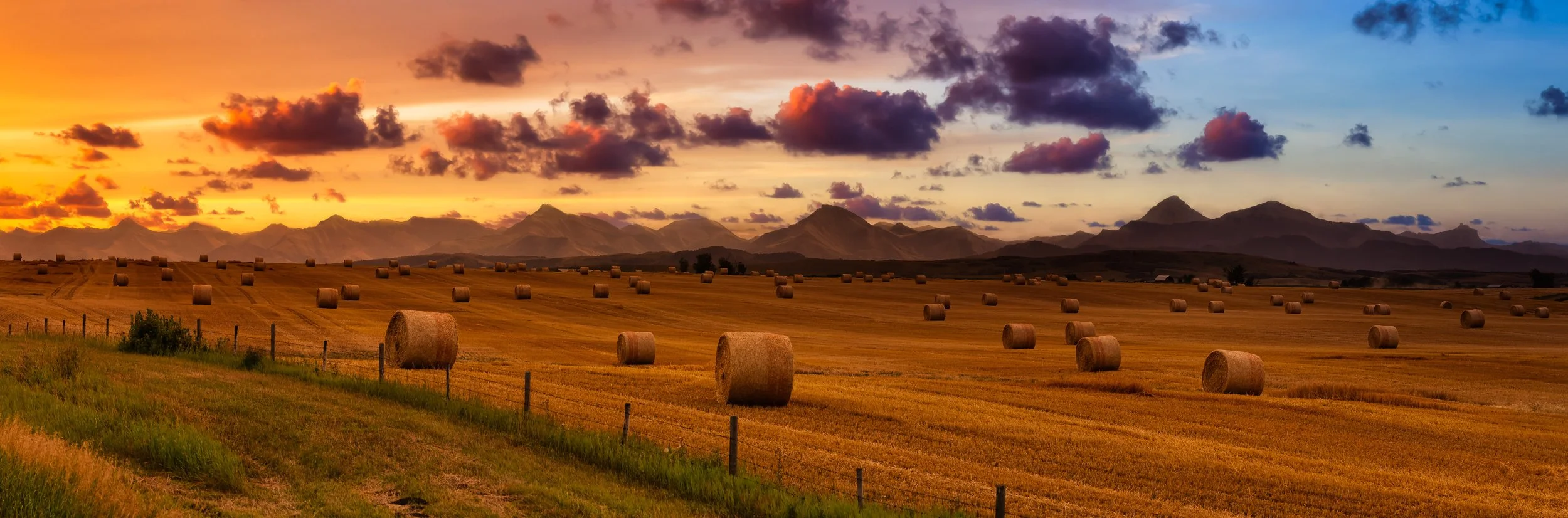 A vast golden field with numerous hay bales scattered across, set against a mountain range during sunset with a colorful sky and clouds.