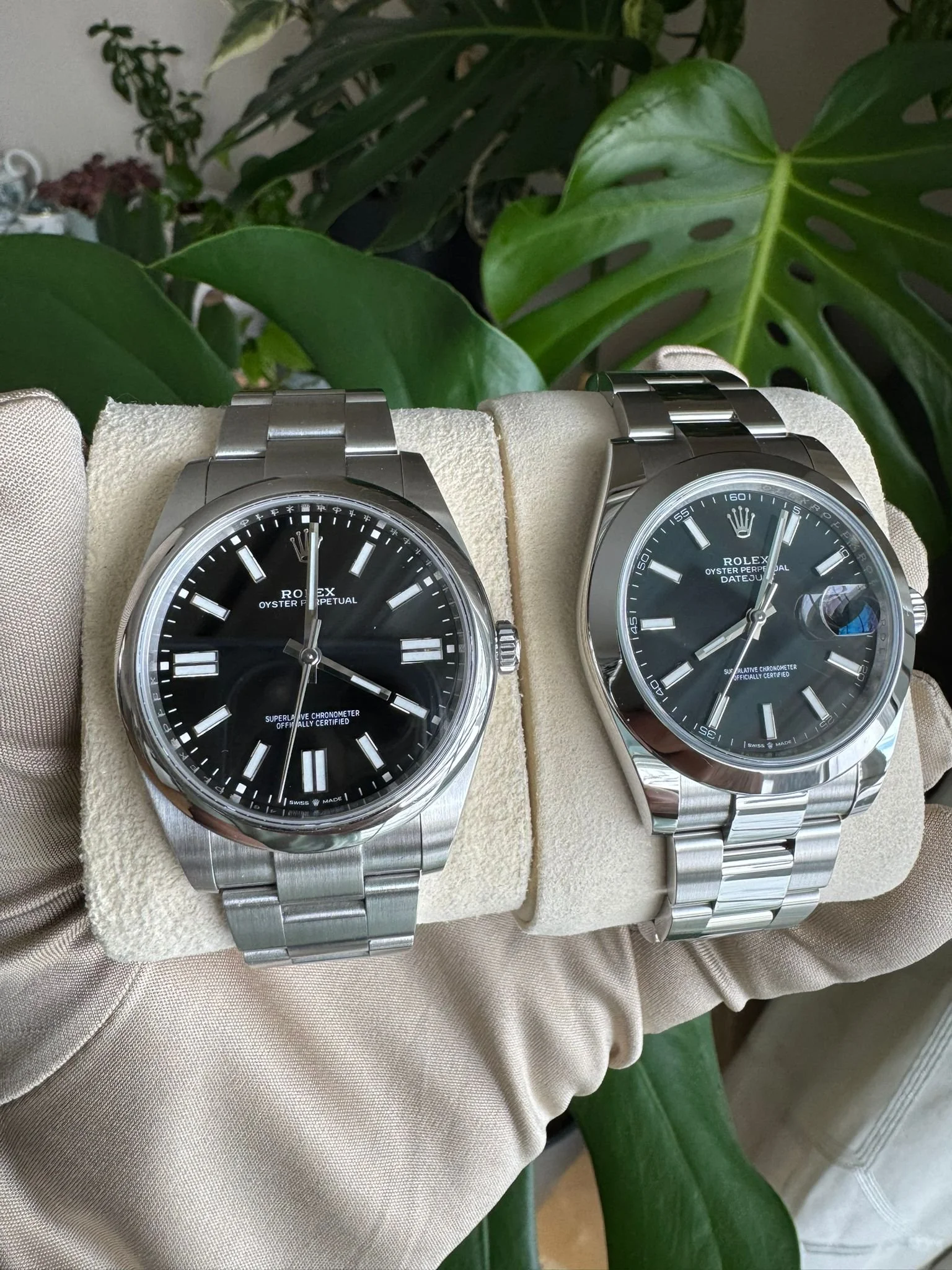 Two Rolex watches with black dials and stainless steel bands held on a beige cushion, in front of green leaves.