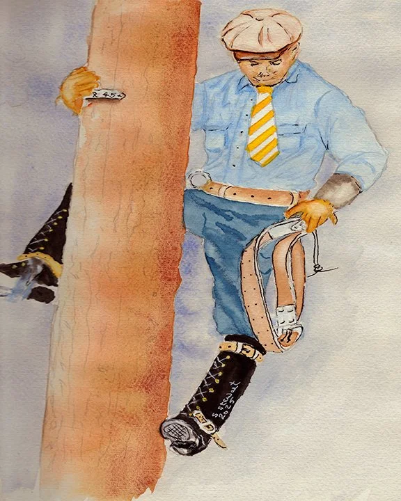 Life on the High-Line