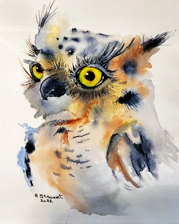 Bright-Eyes-web.jpg