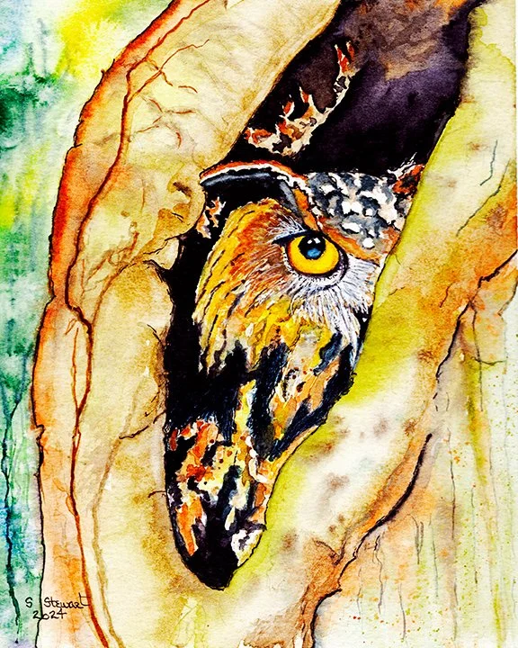 Horned Owl in Tree Cavity