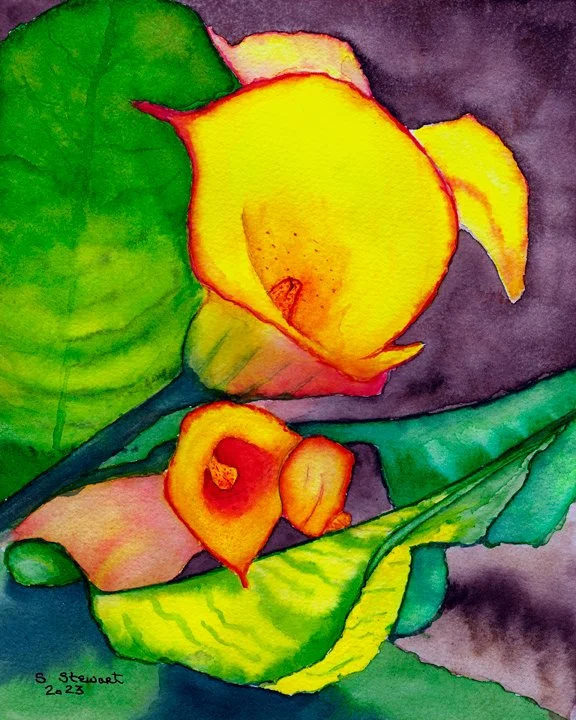 Yellow Calla Lily