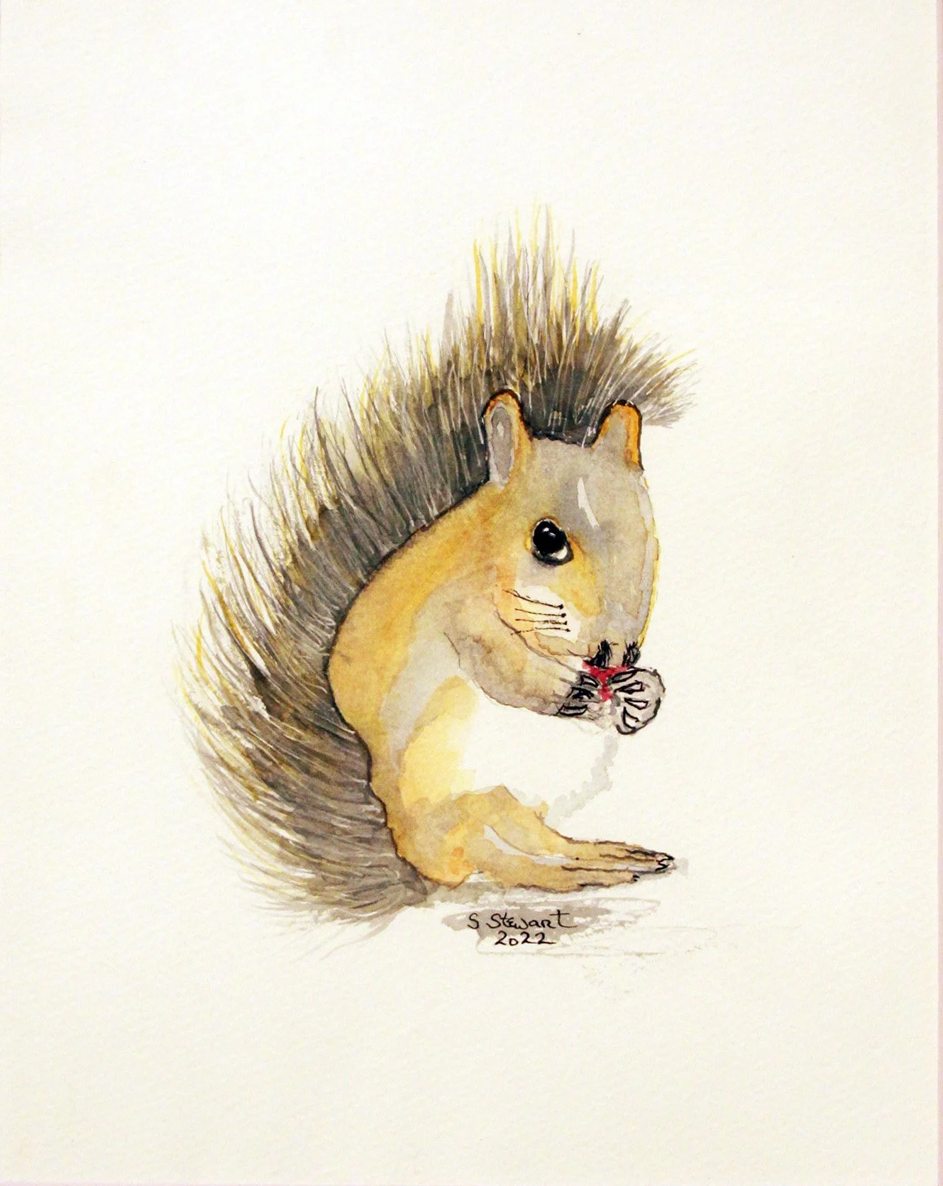 Squirrel Portrait.jpg