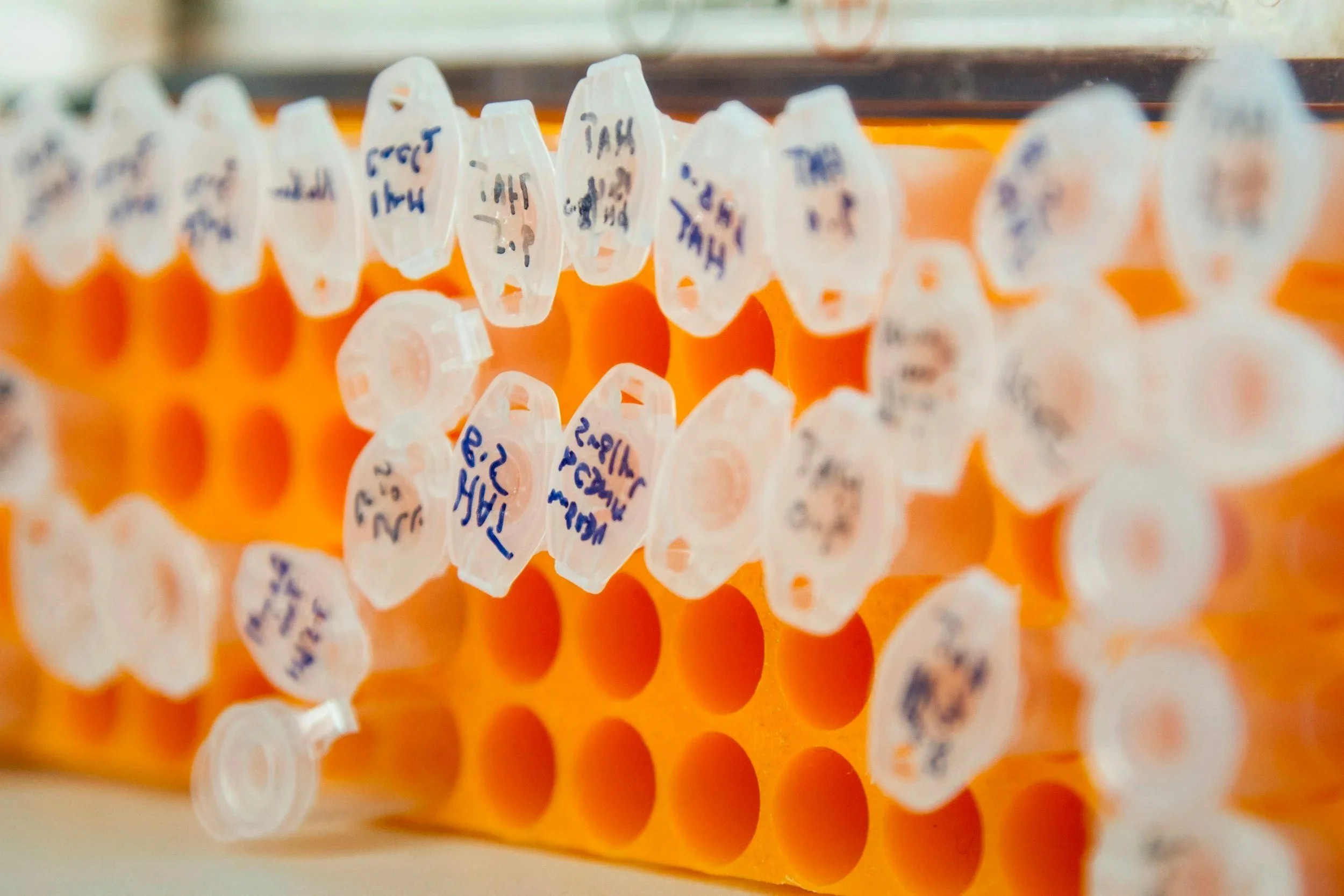 What are we using your samples for?&nbsp;
