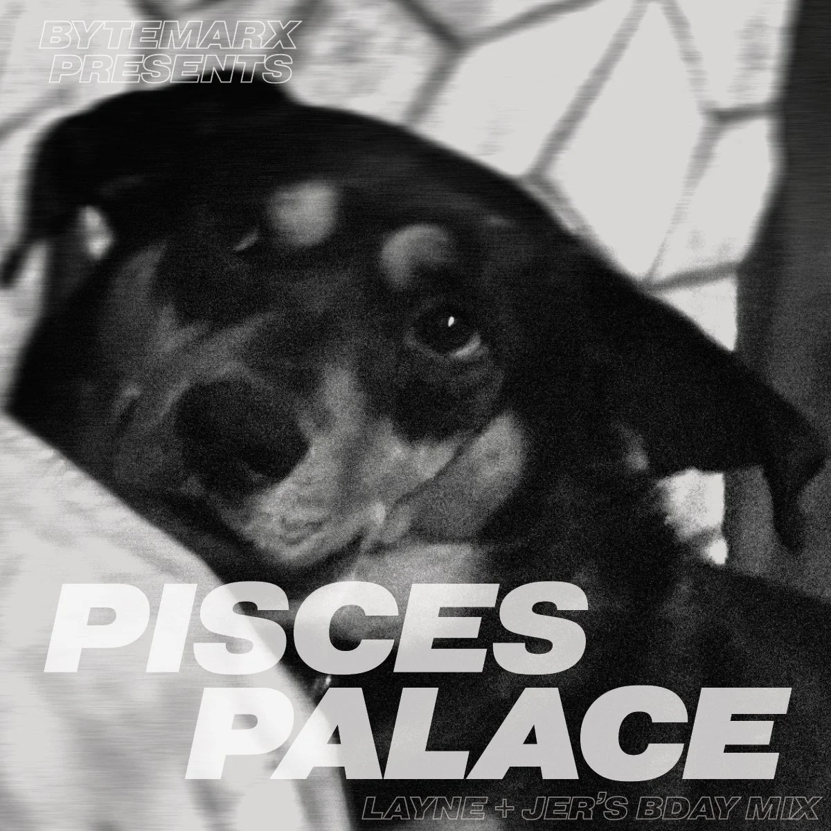 PISCES PALACE 3.7.26.jpg