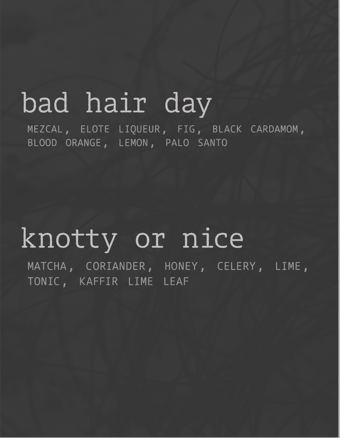 Screenshot 2026-02-24 at 2.21.56 PM.png