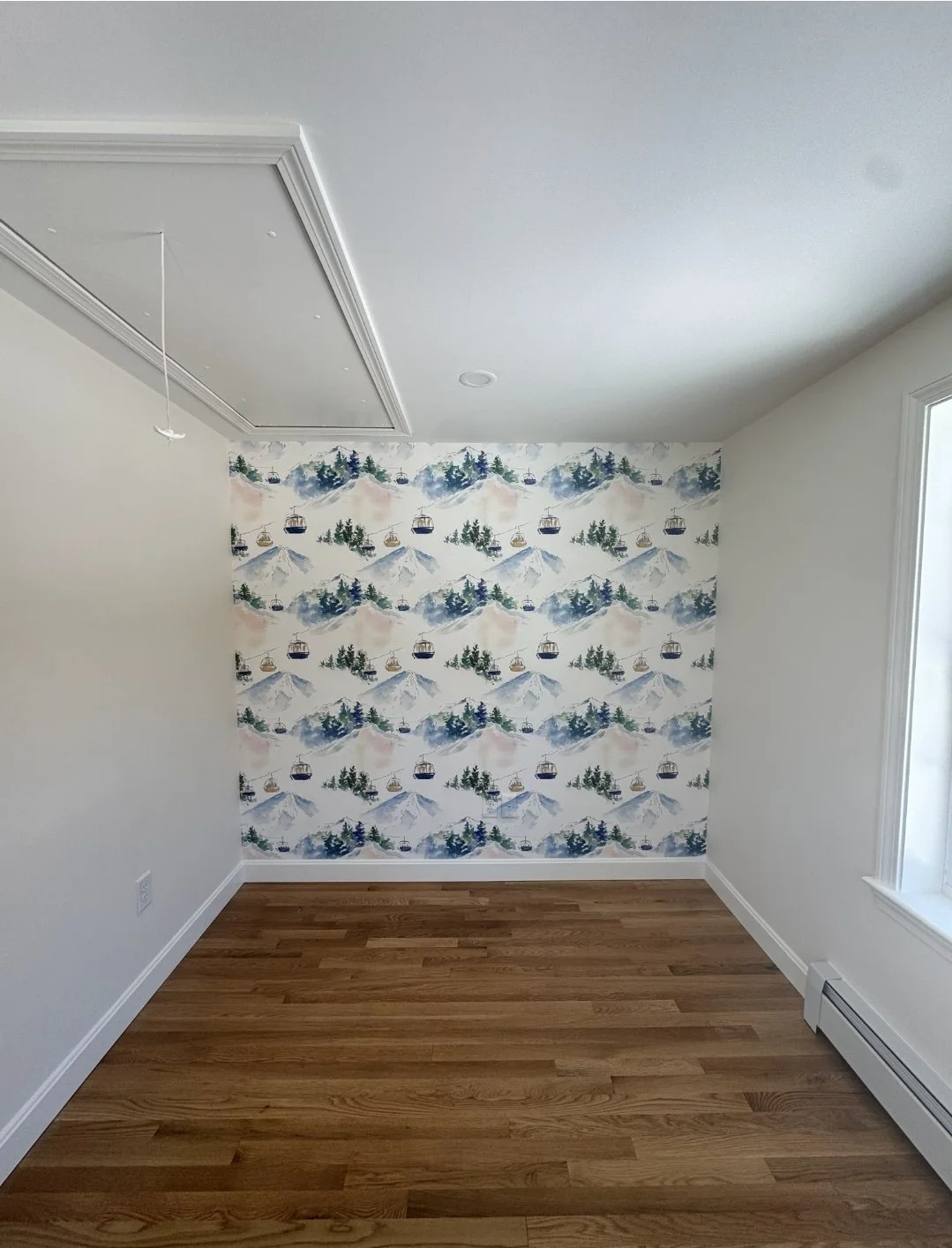 Empty office with hardwood floor and papered accent wall featuring mountain and forest scene with gondolas. Built Structure Pro in Massachusetts