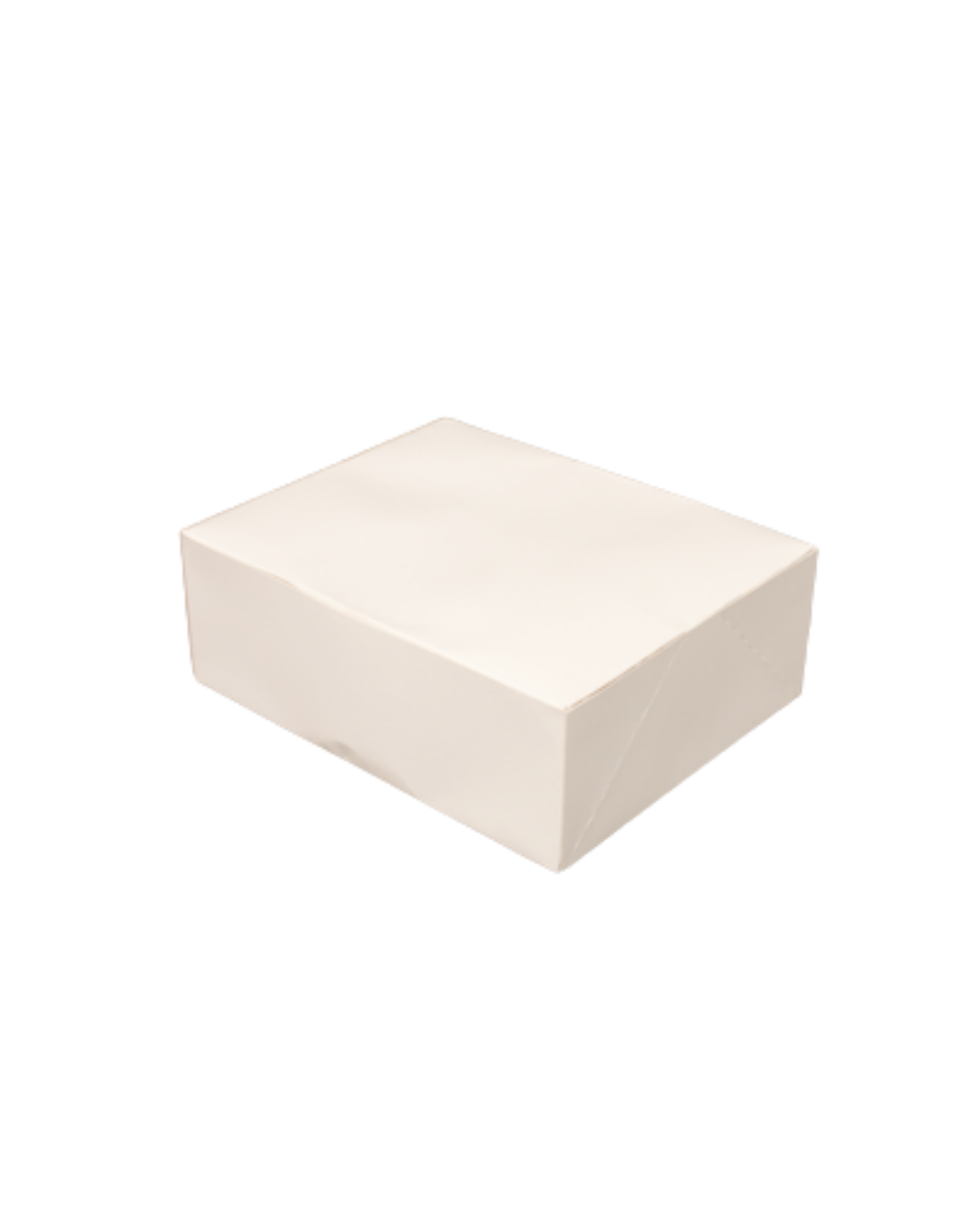 caixa cartão 4.png