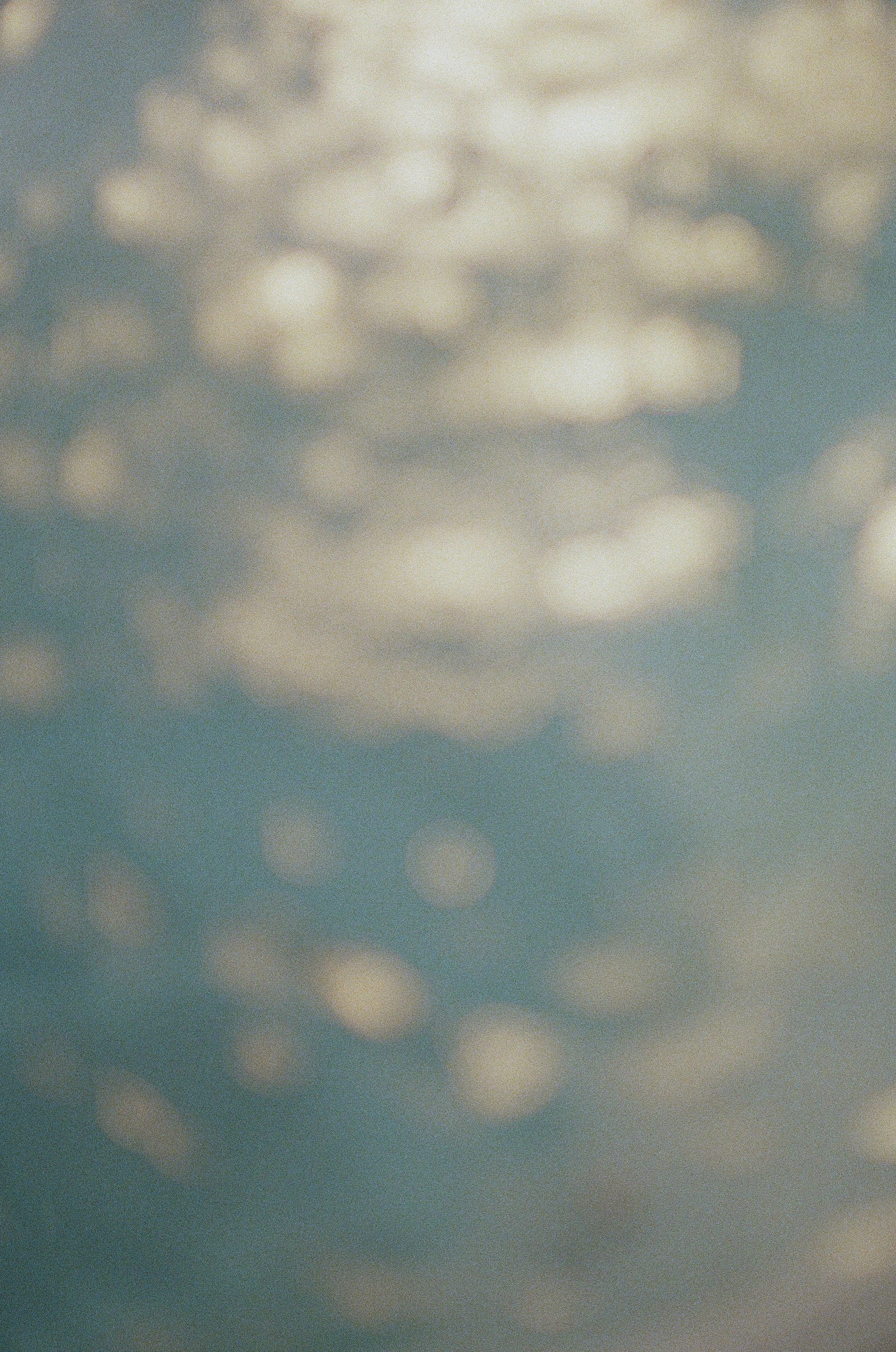 SwimSpaFilm0209_Smaller.jpg