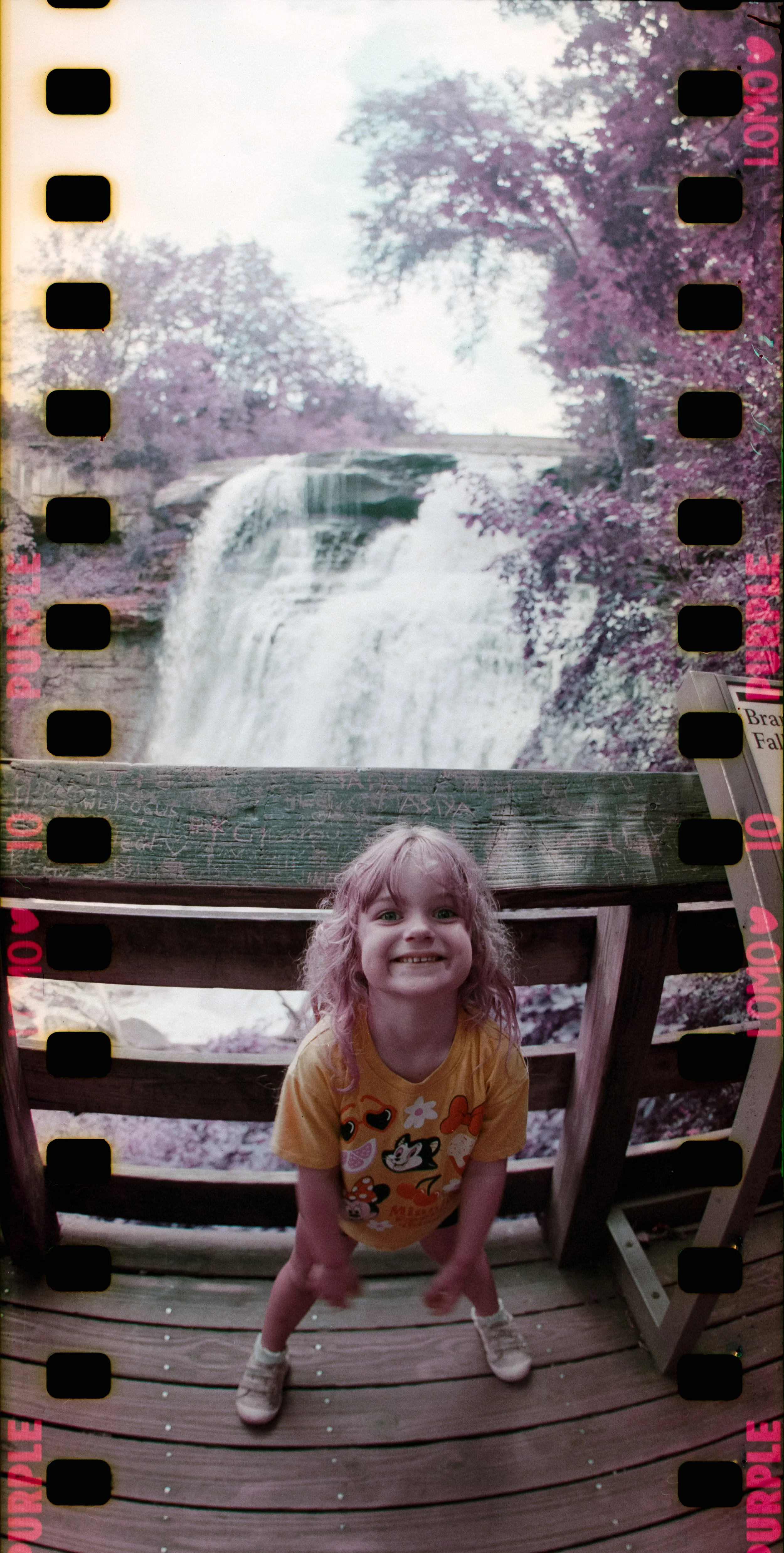 2Section2_Frame3_Smaller.jpg