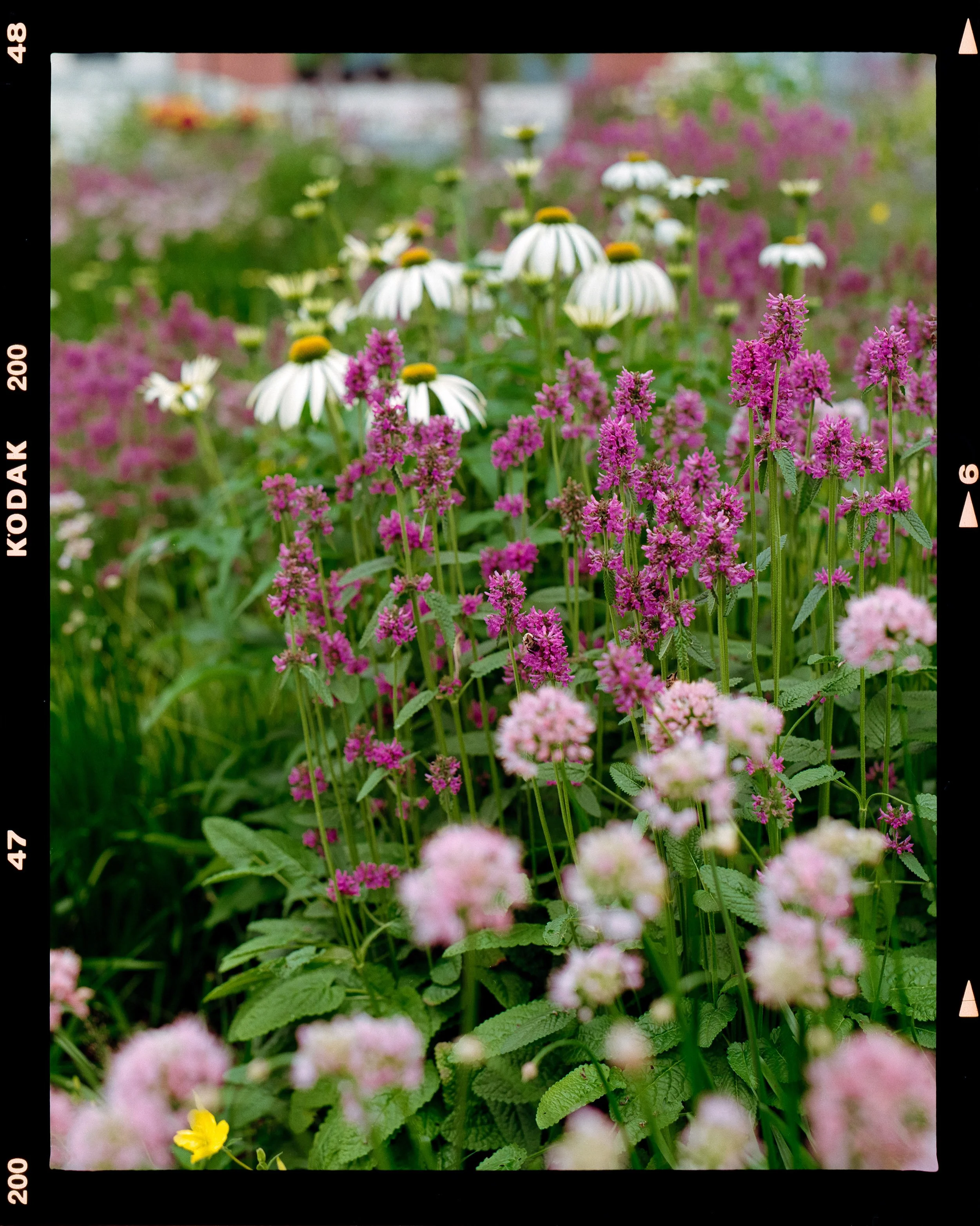 1Section3_Frame3_Smaller.jpg