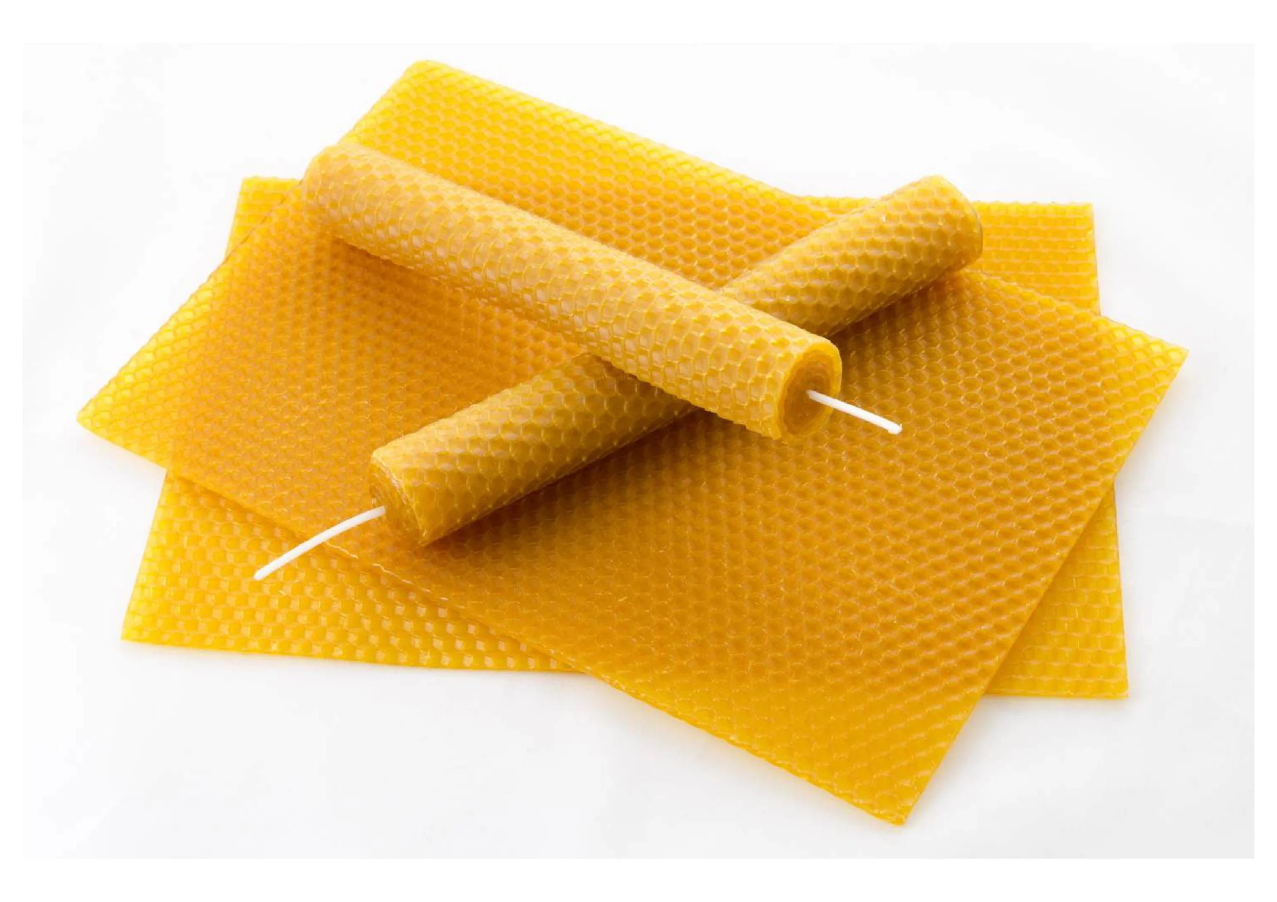 BEESWAX 3-compressed.jpg