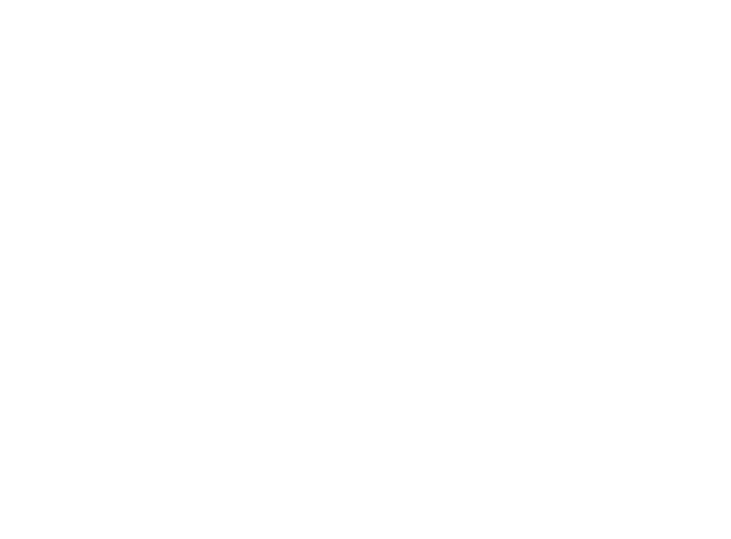 The logo of Melt the Fly film production company , documentary filmmaking, Harmonic Spectrum, Sink or Skim, Long Live My Happy Head, Have You Seen The Beast? Edinburgh Scotland, Director, Editor