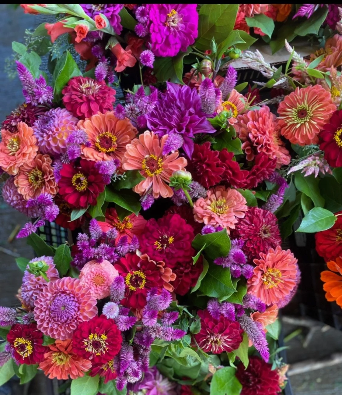 12 Week Bouquet Subscription 2026